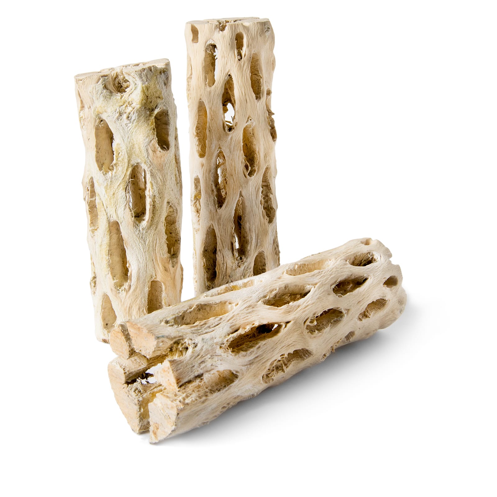 Supermoss Cholla Wood Pieces Michaels