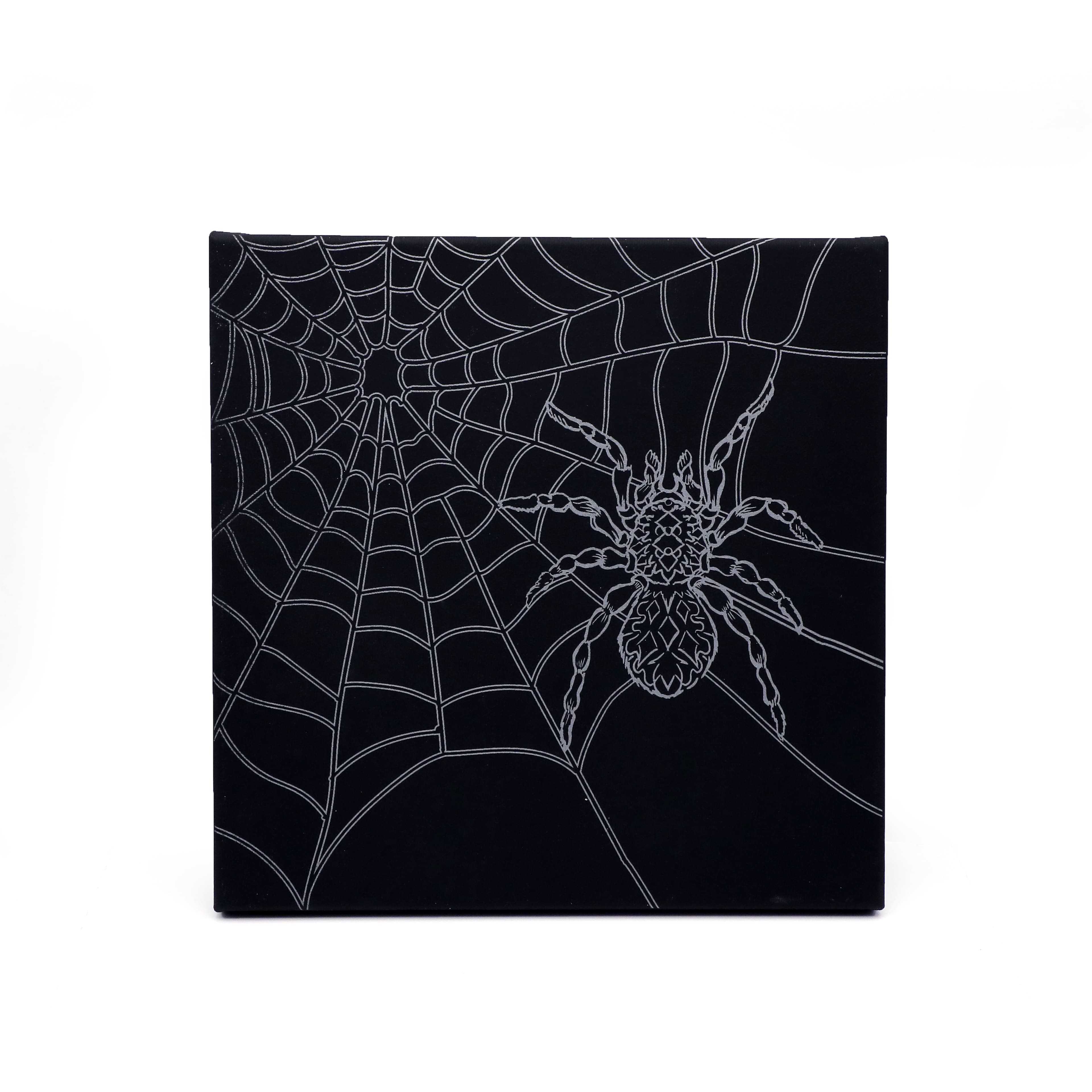 11" x 11" Spider Web Canvas Painting Kit by Craft Smart®