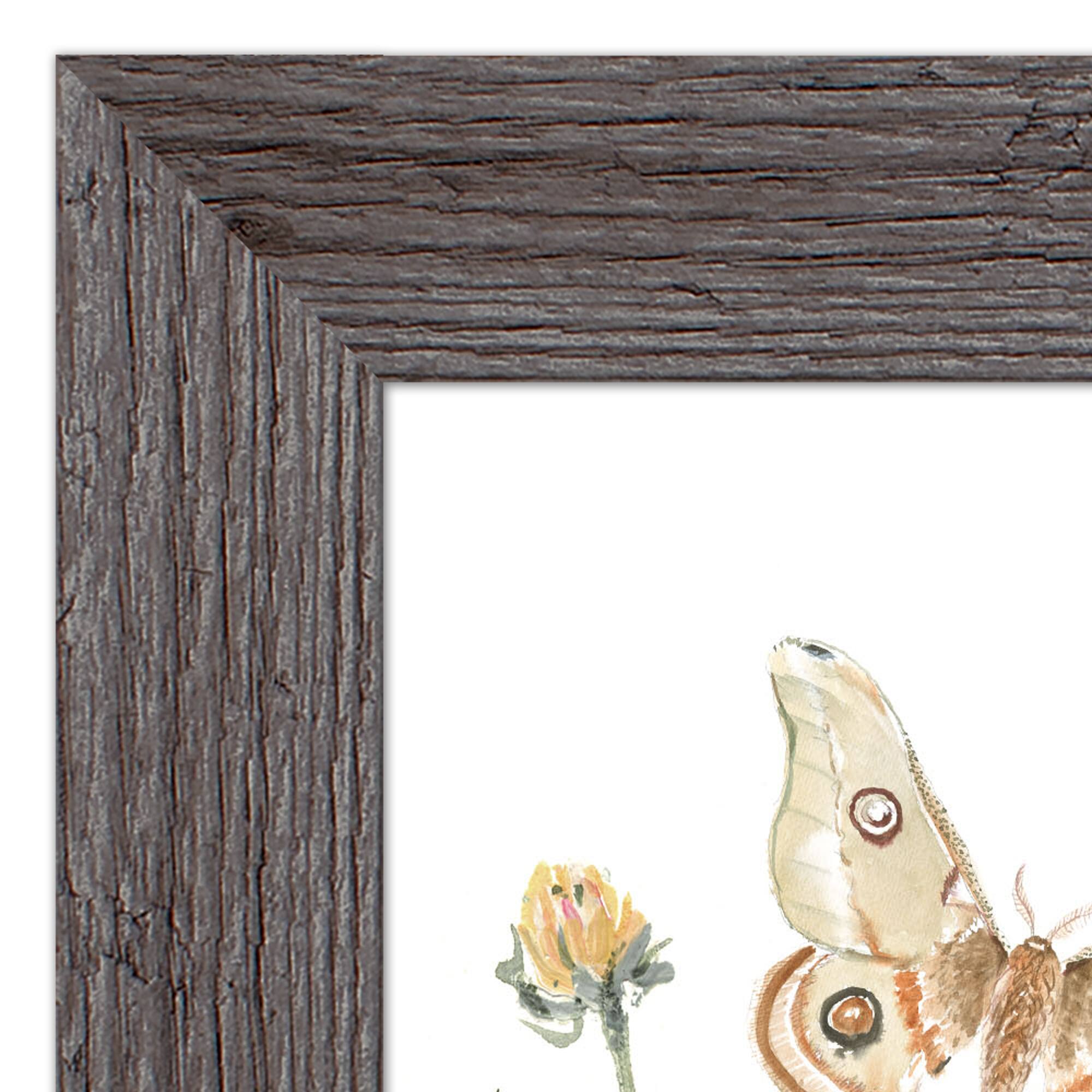 Butterfly Garden Western Framed Print