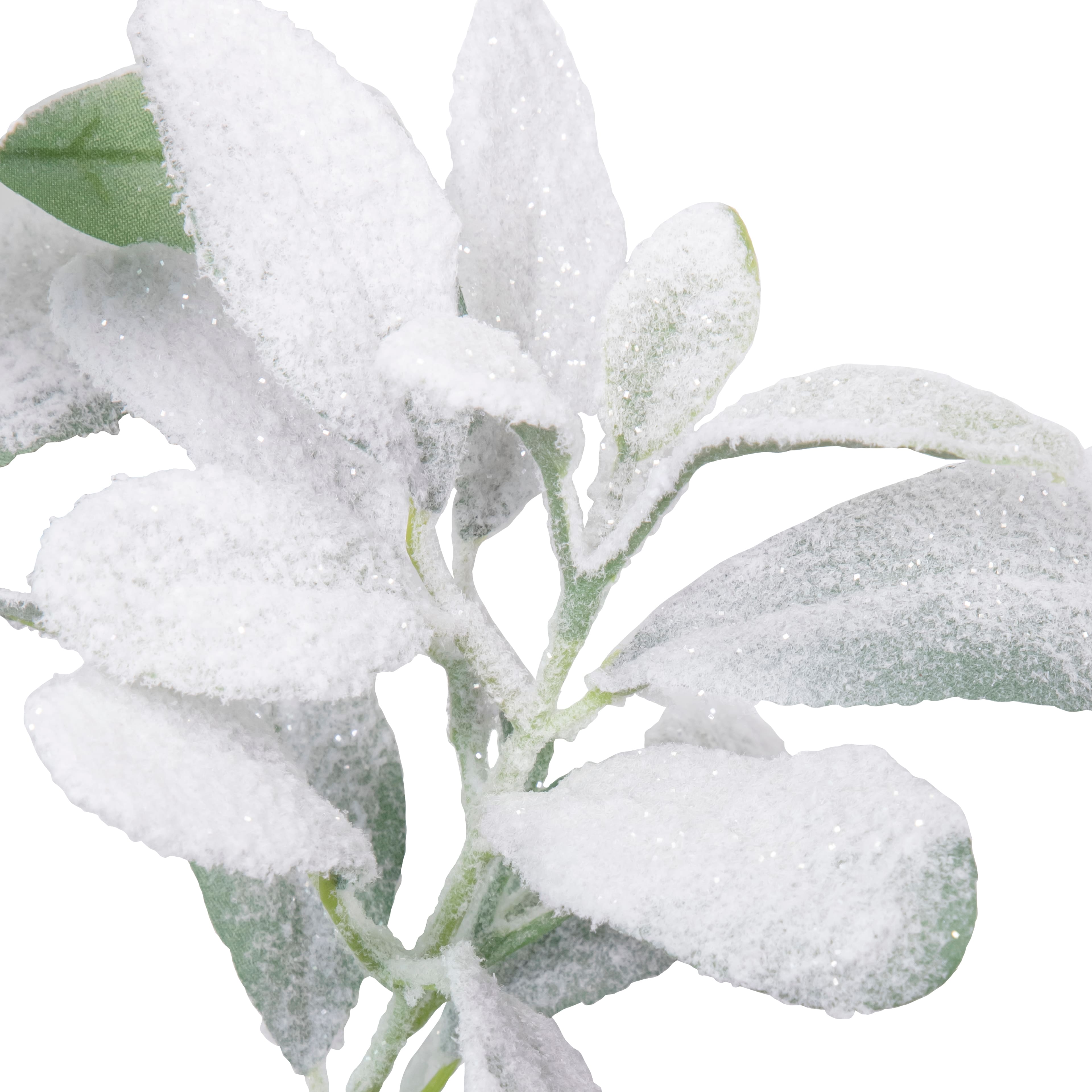 28&#x22; Snowy Lamb&#x27;s Ear Stem by Ashland&#xAE;