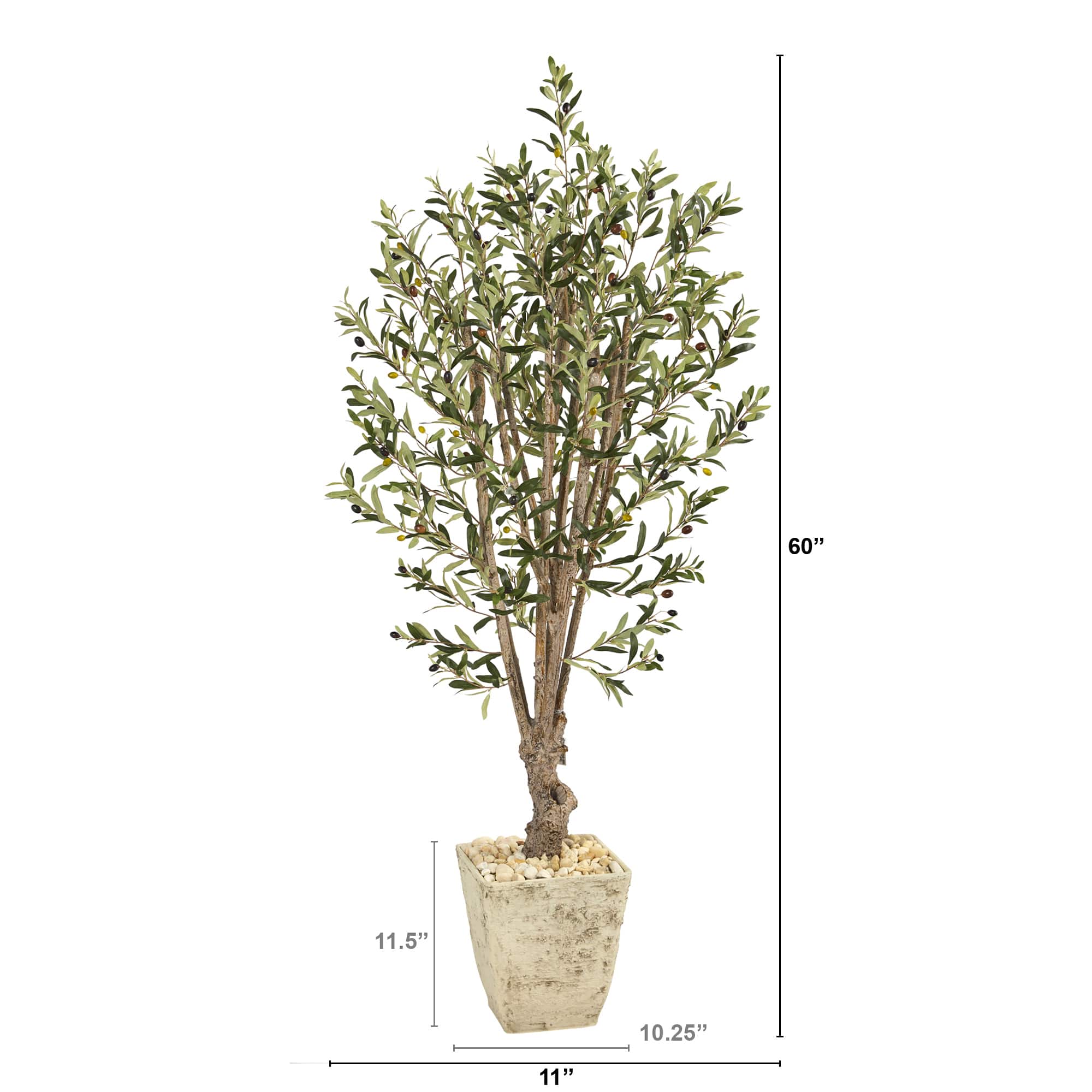 5ft. Olive Tree in Country White Planter