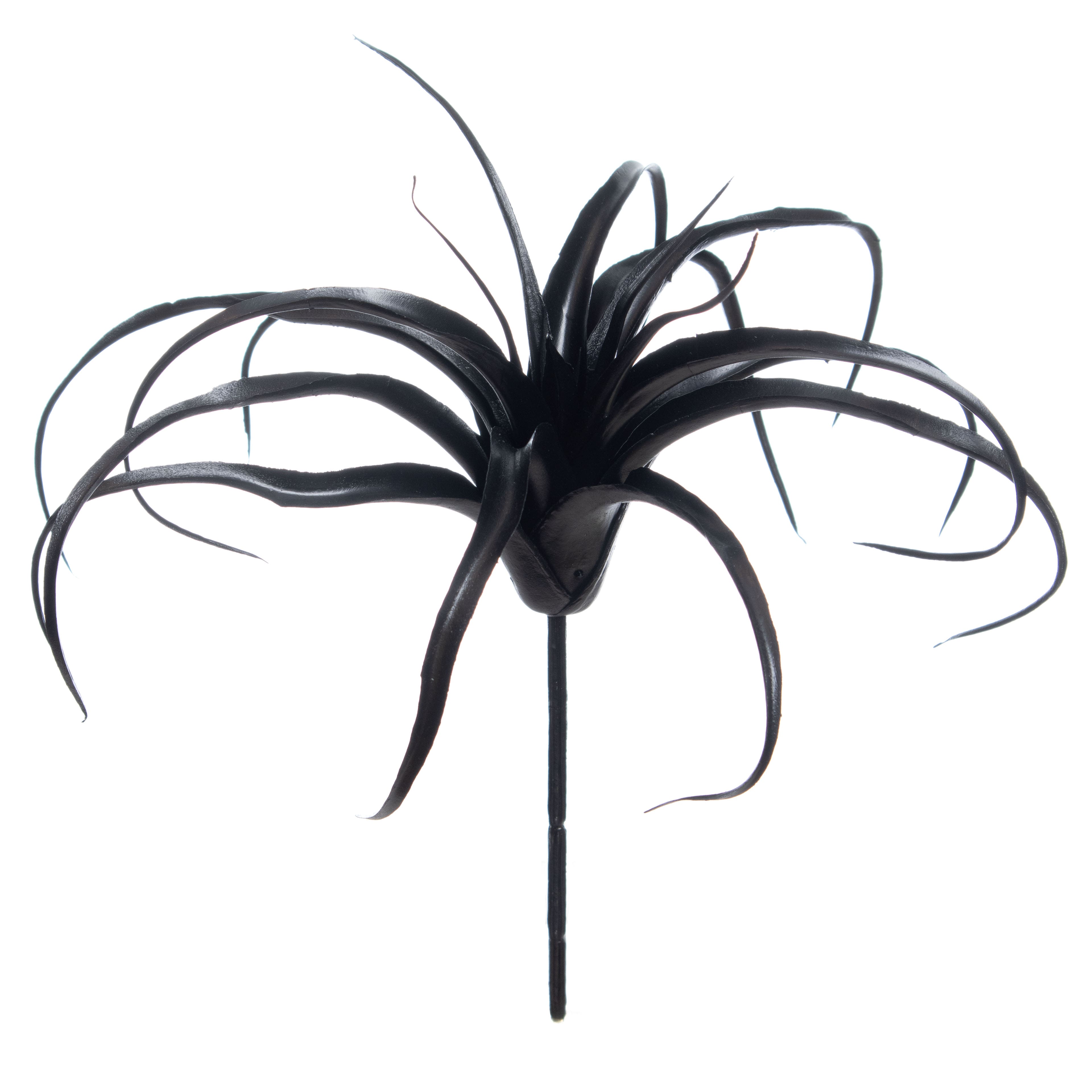 10&#x22; Black Tillandsia Pick by Ashland&#xAE;