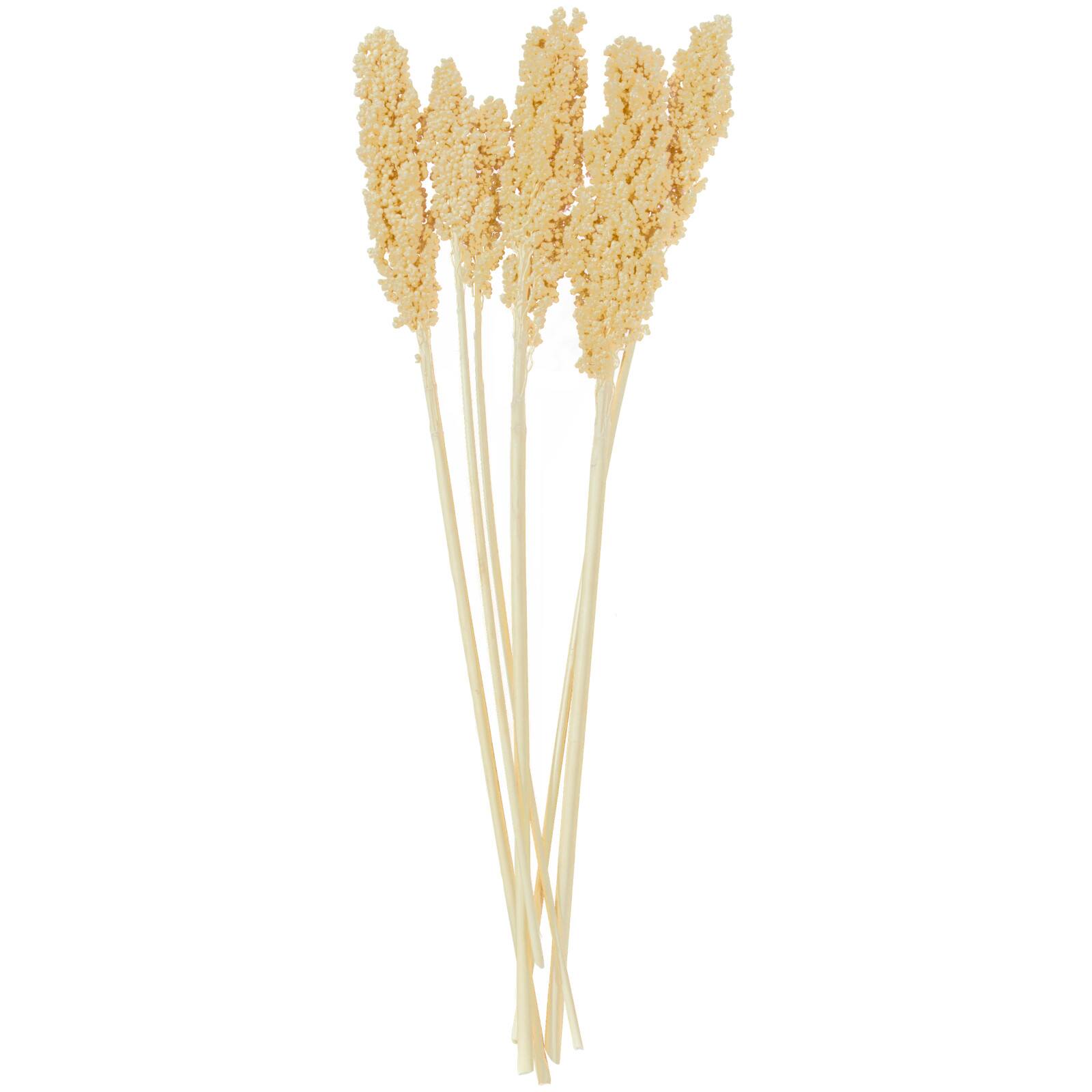 Dried Corn Maize Natural Foliage with Long Stems