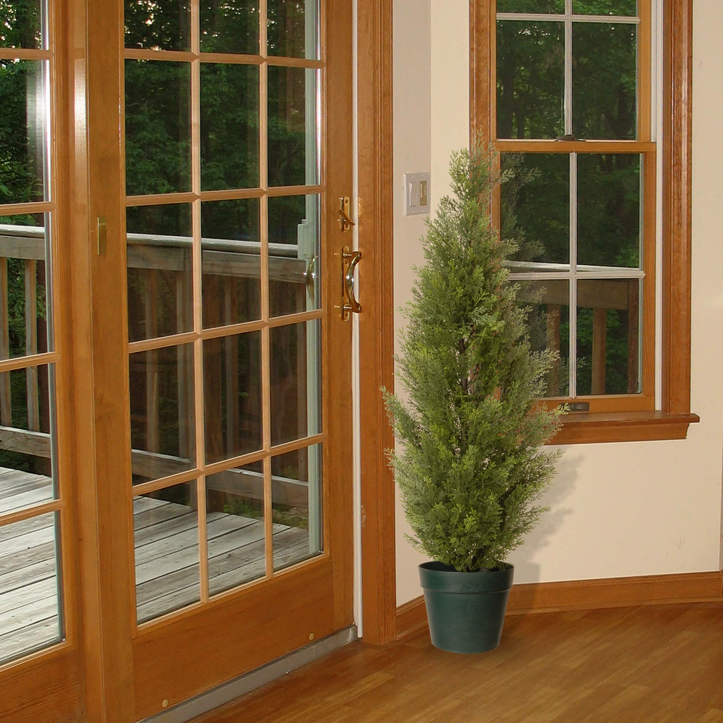 Arborvitae with Green Pot