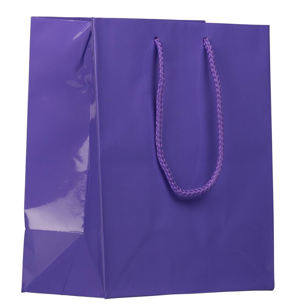 JAM Paper Medium Glossy Gift Bags