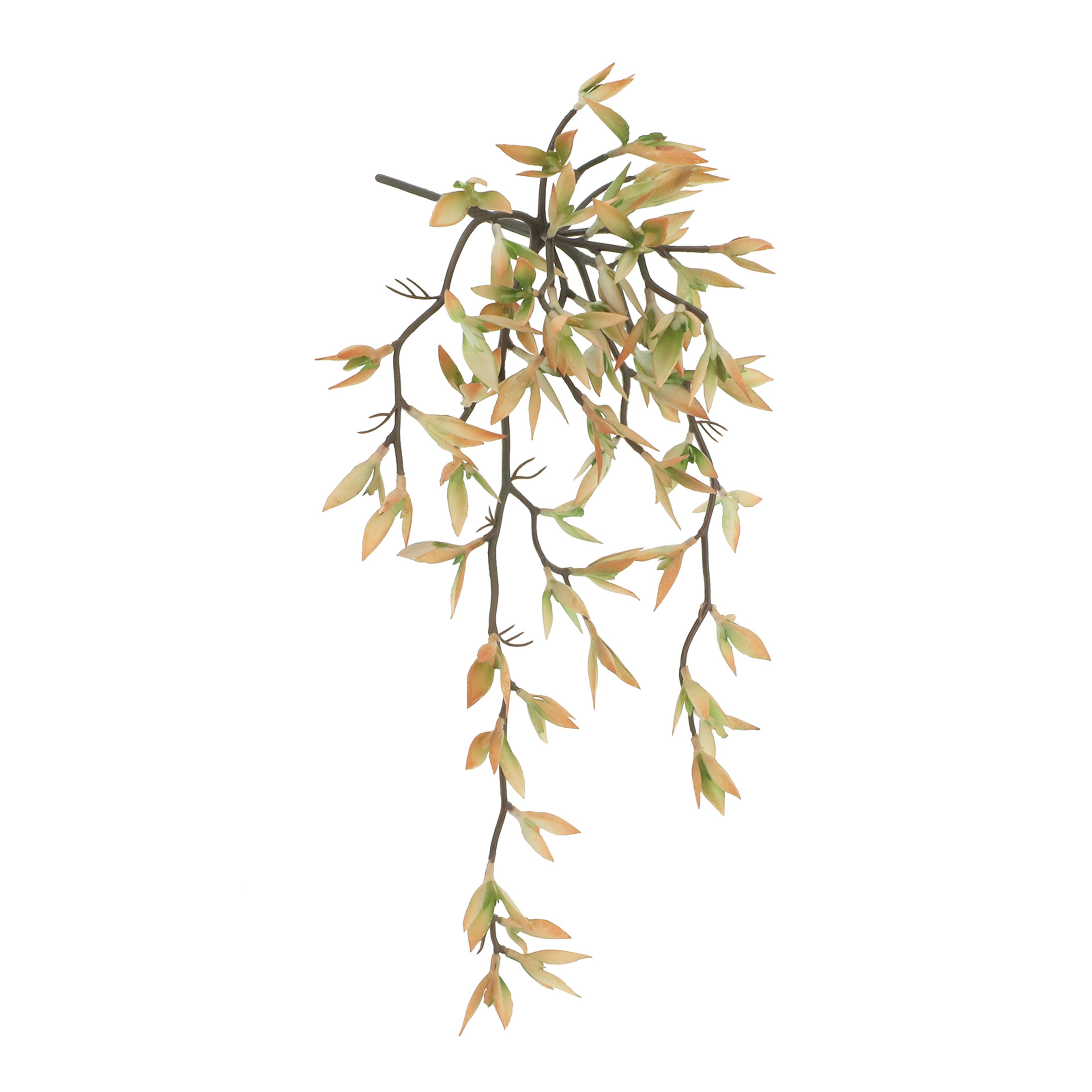 16&#x22; Pink Floral Succulent Pick by Ashland&#xAE;