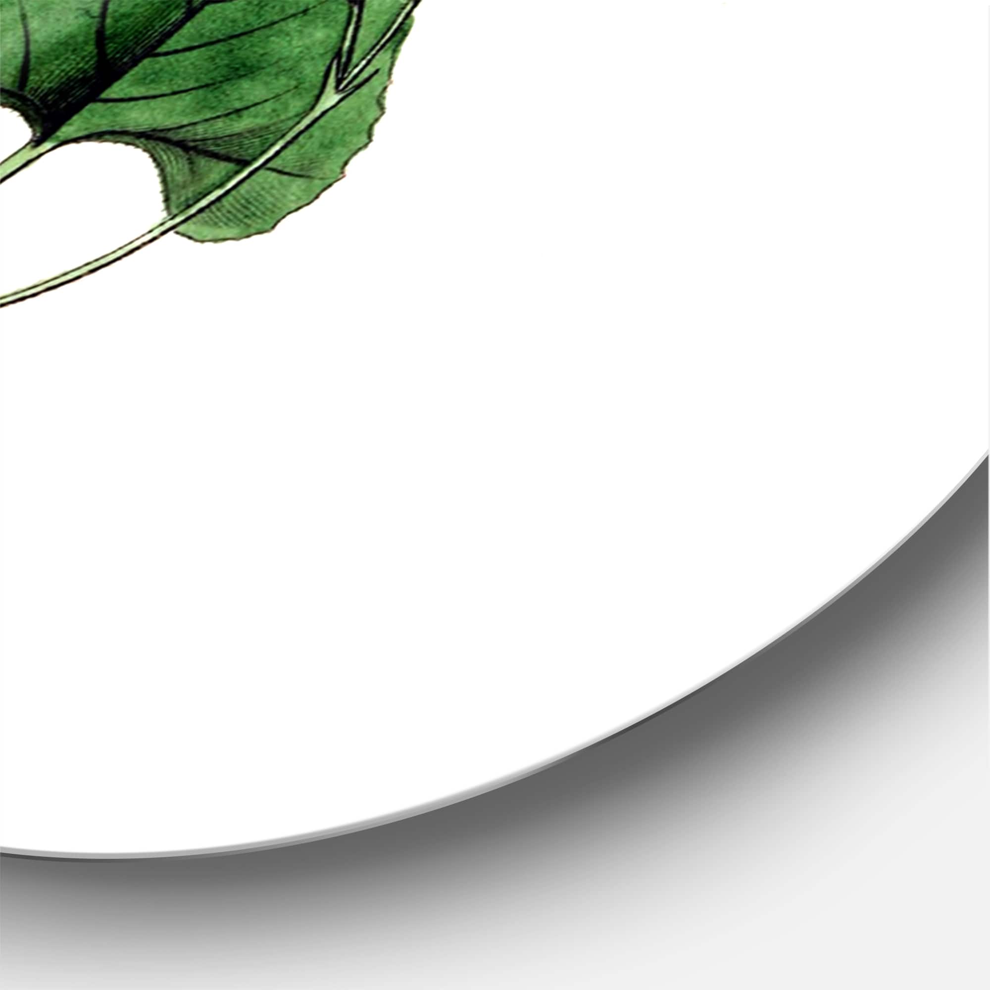 Designart - Vintage Green Leaves Plants IX - Traditional Metal Circle Wall Art