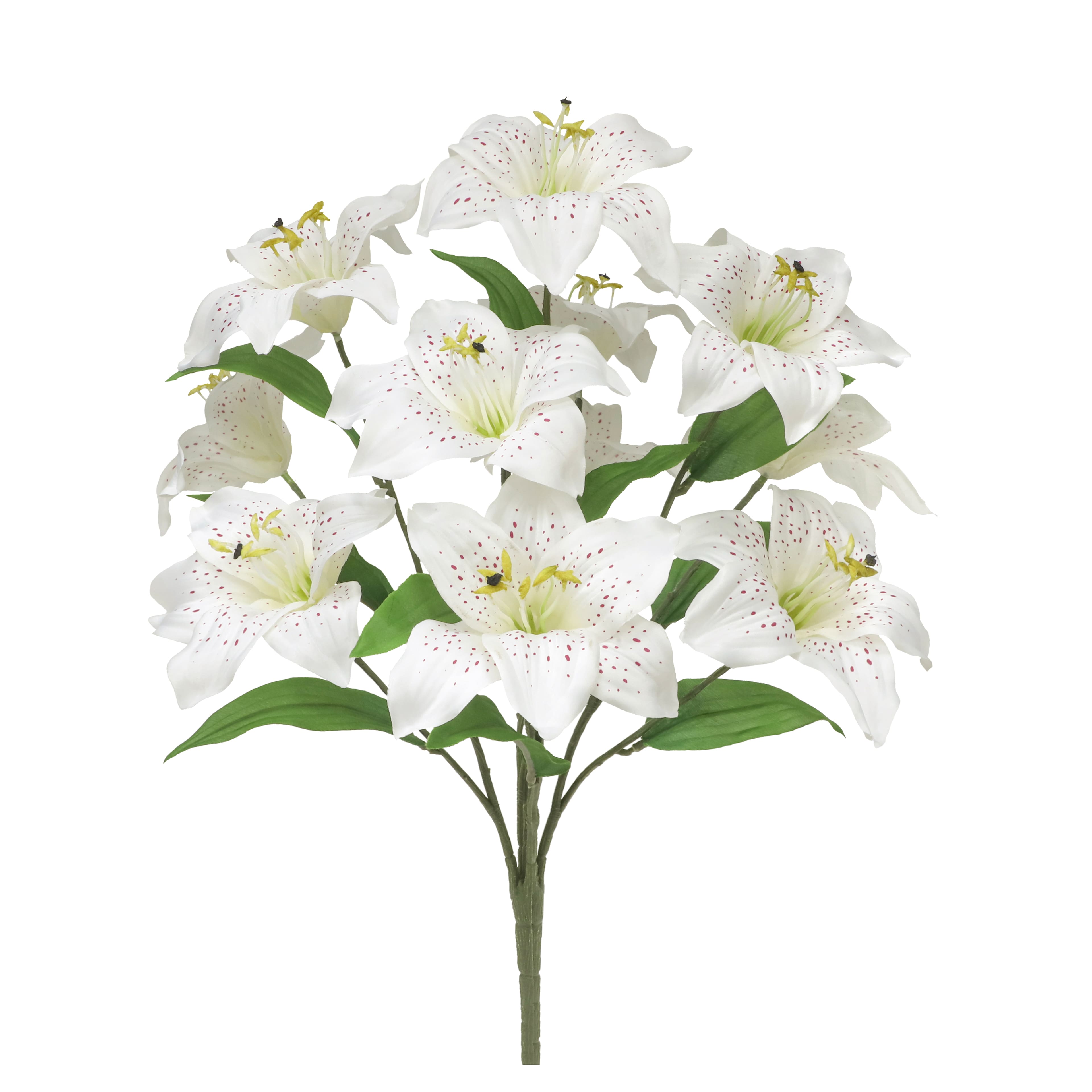 Casablanca Lily Stem by Ashland®