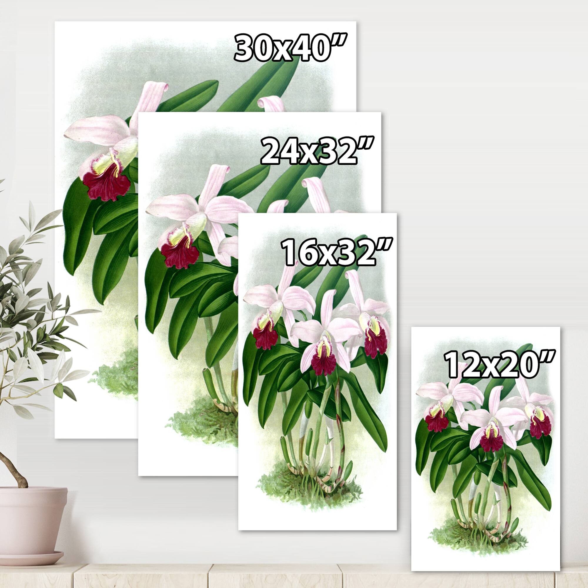 Designart - Vintage White Orchid Flower I - Traditional Canvas Wall Art Print