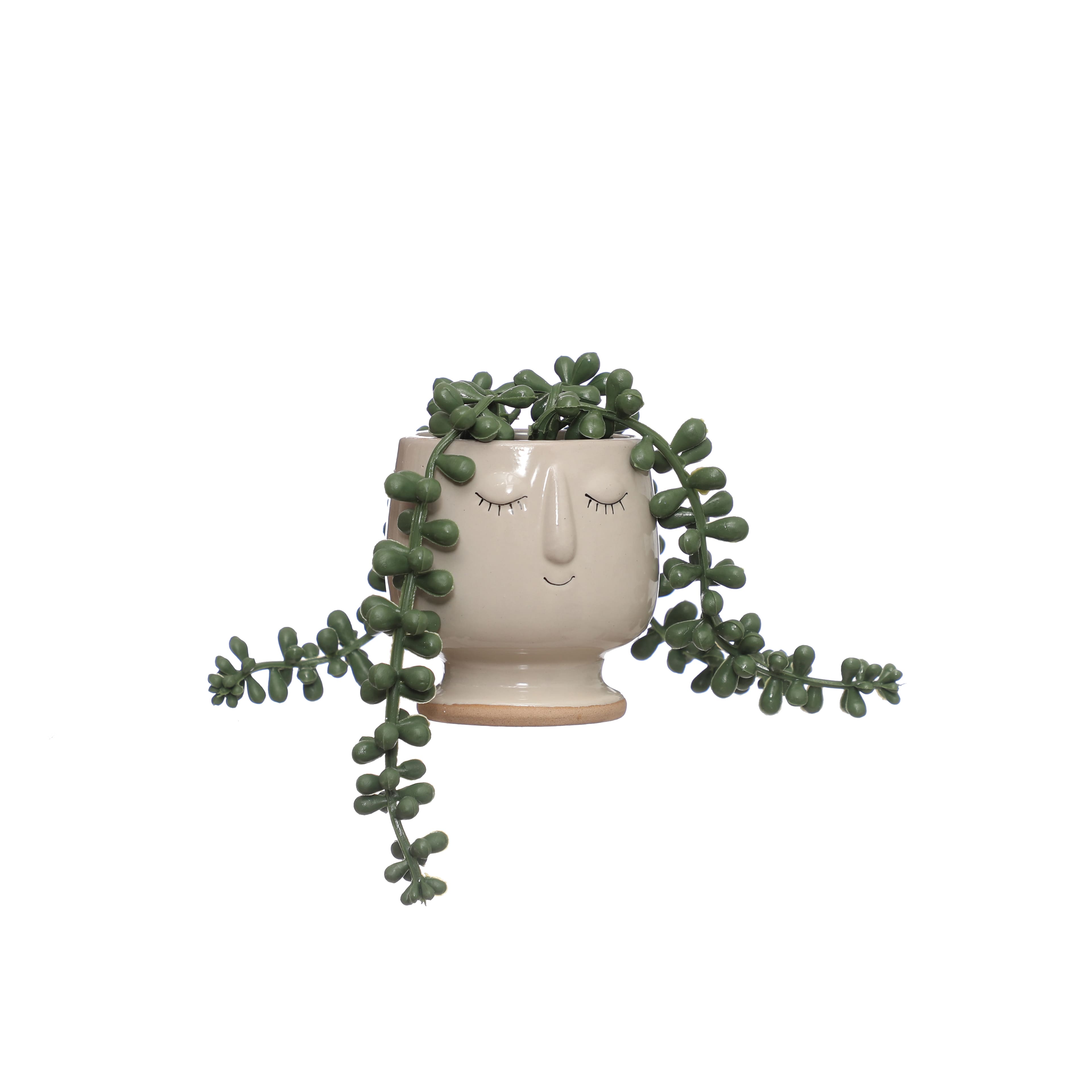 3.75&#x22; Succulent in Face Planter by Ashland&#xAE;