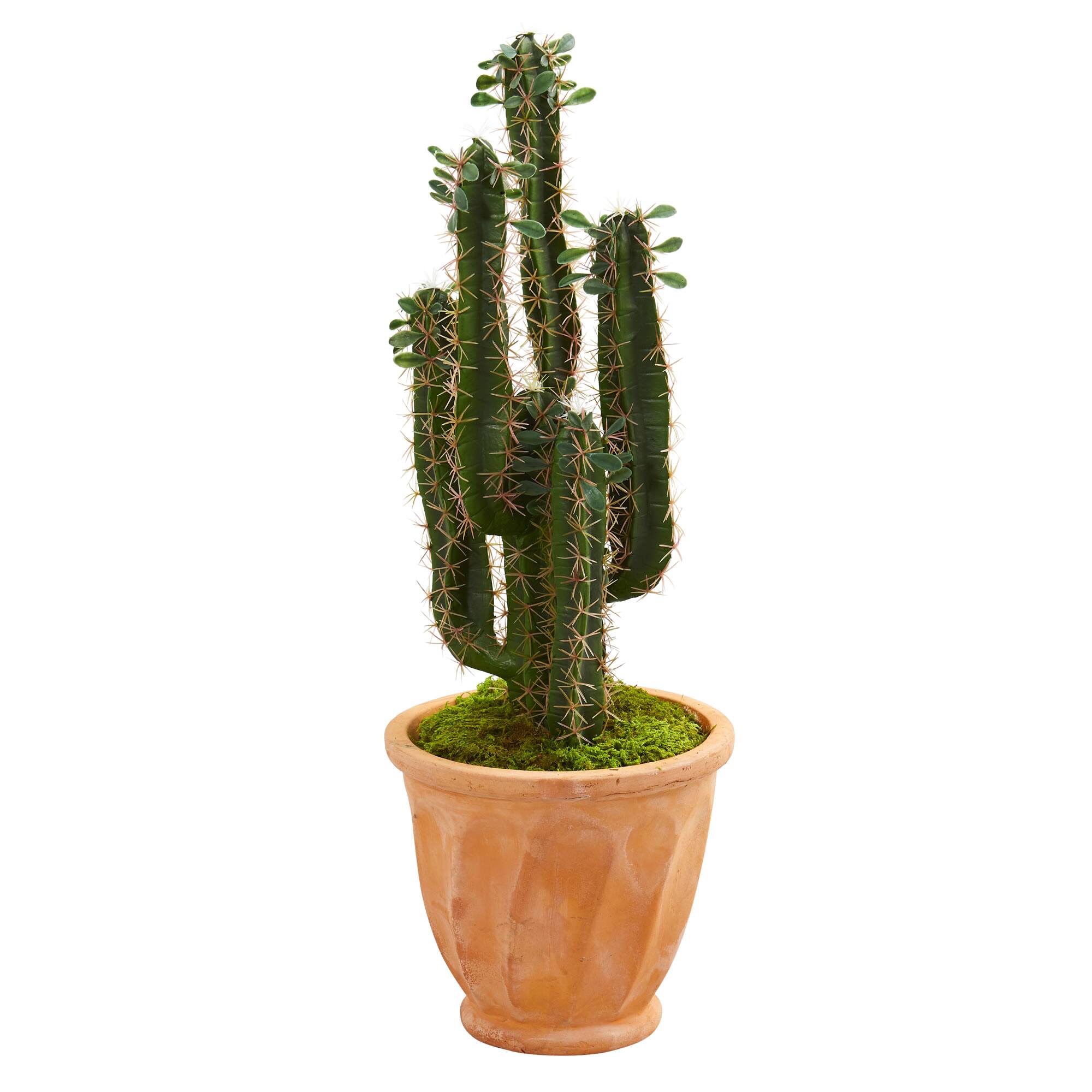 3ft. Cactus Artificial Plant in Terra Cotta Planter