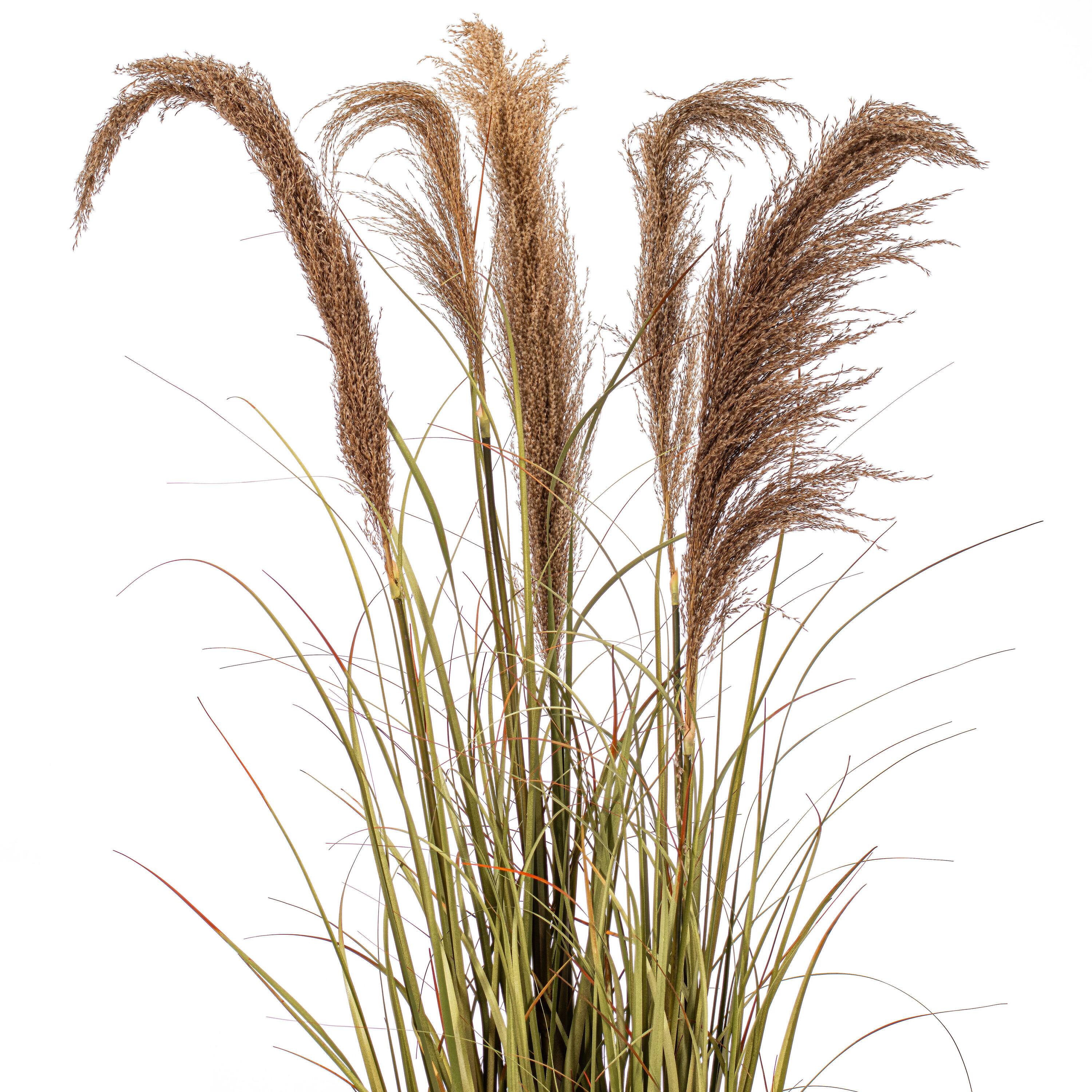 55" Artificial Green Grass & Natural Reeds in Iron Pot