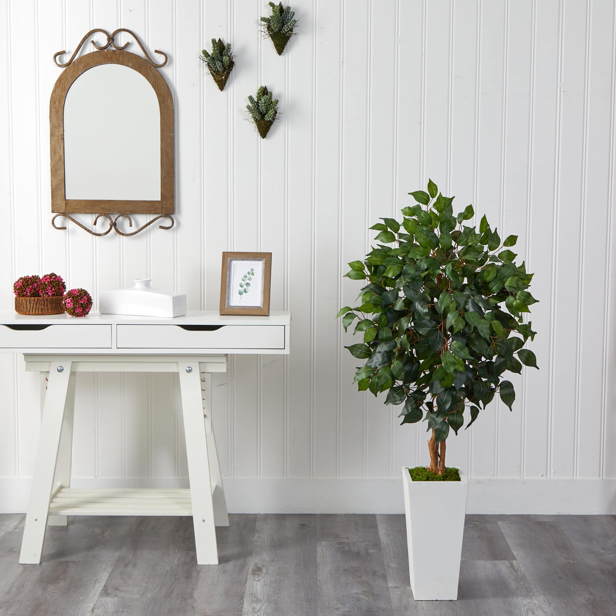 4ft. Ficus Tree in White Tower Planter