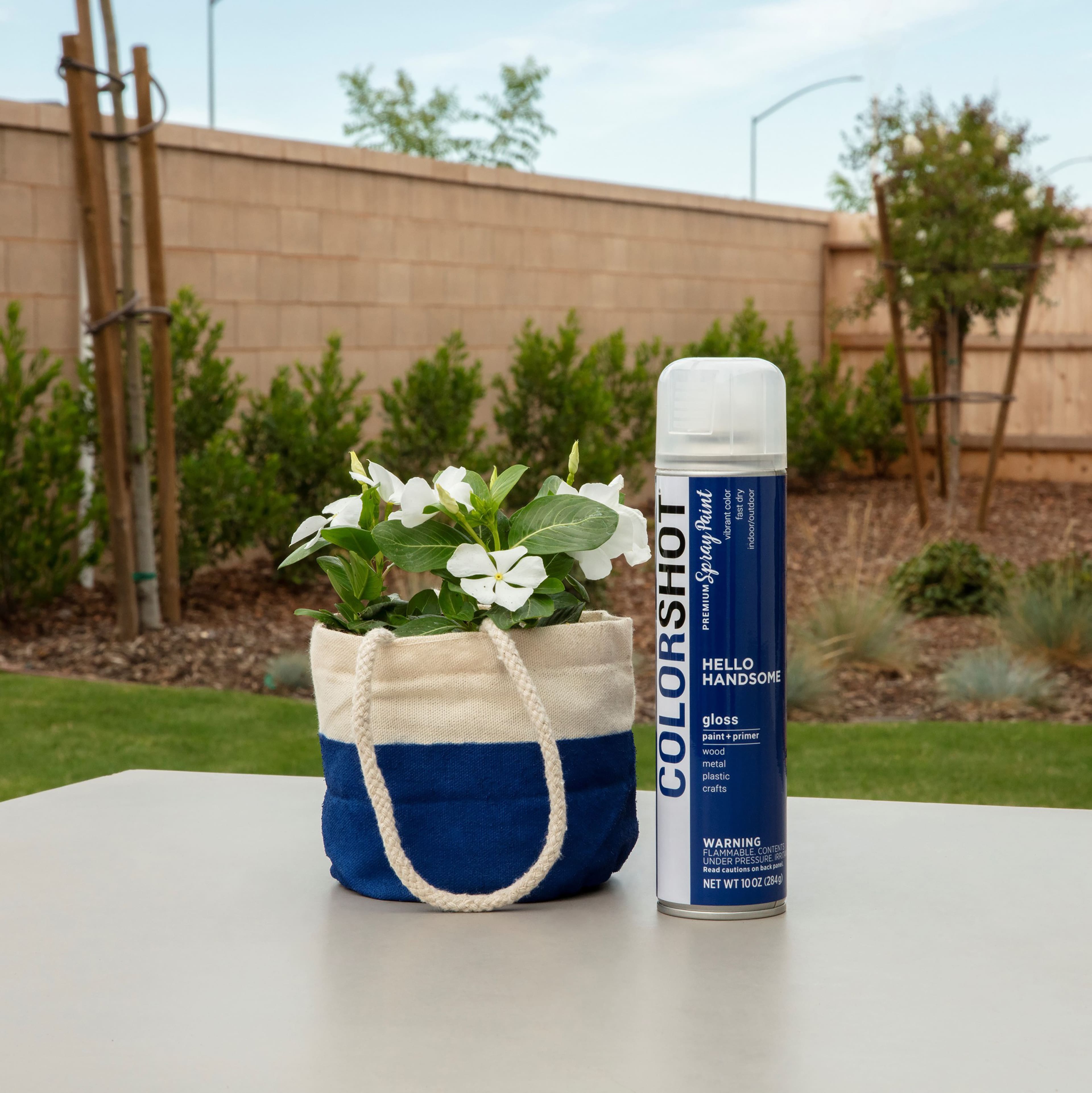 COLORSHOT&#xAE; Premium Gloss Spray Paint