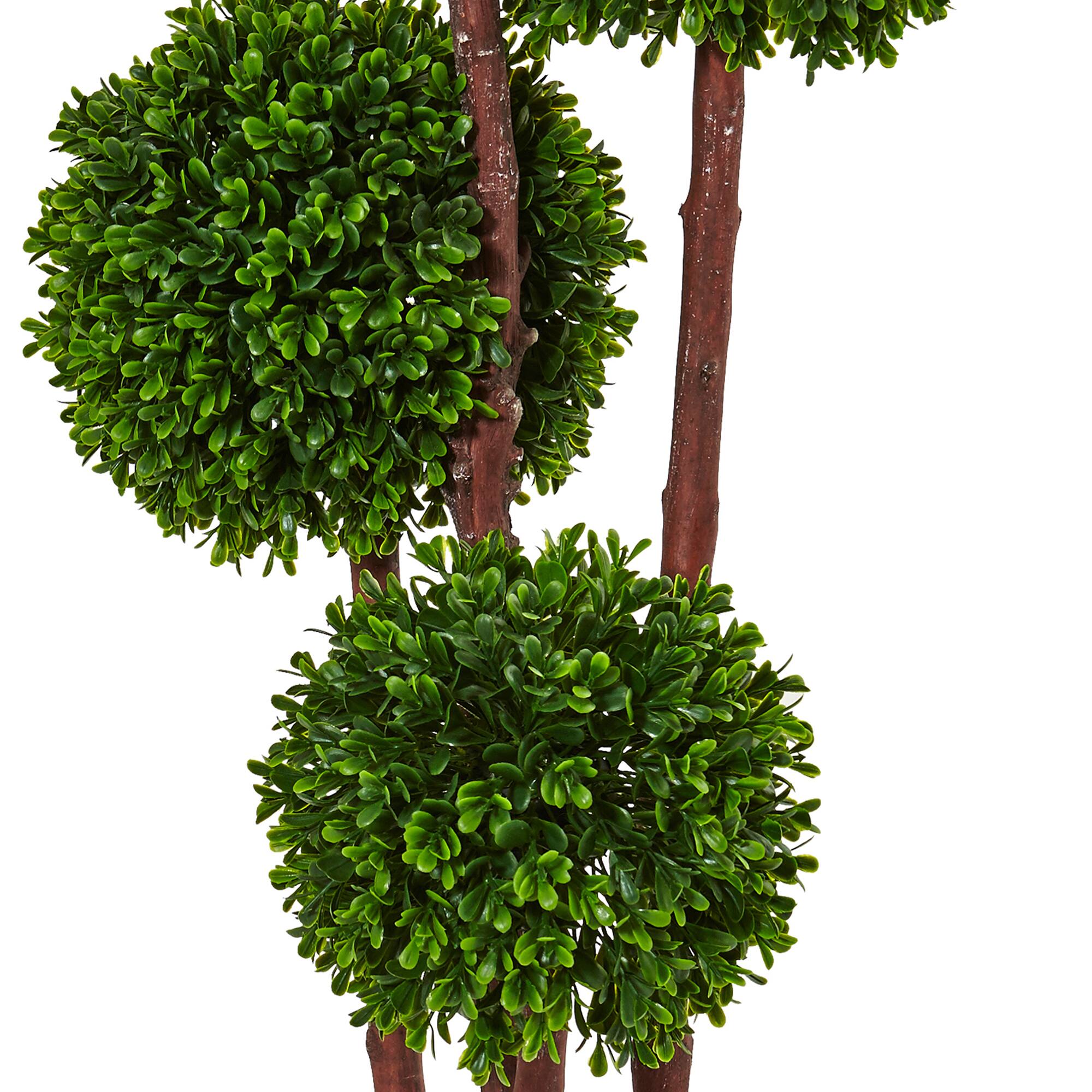 3ft. Potted Boxwood Topiary Tree