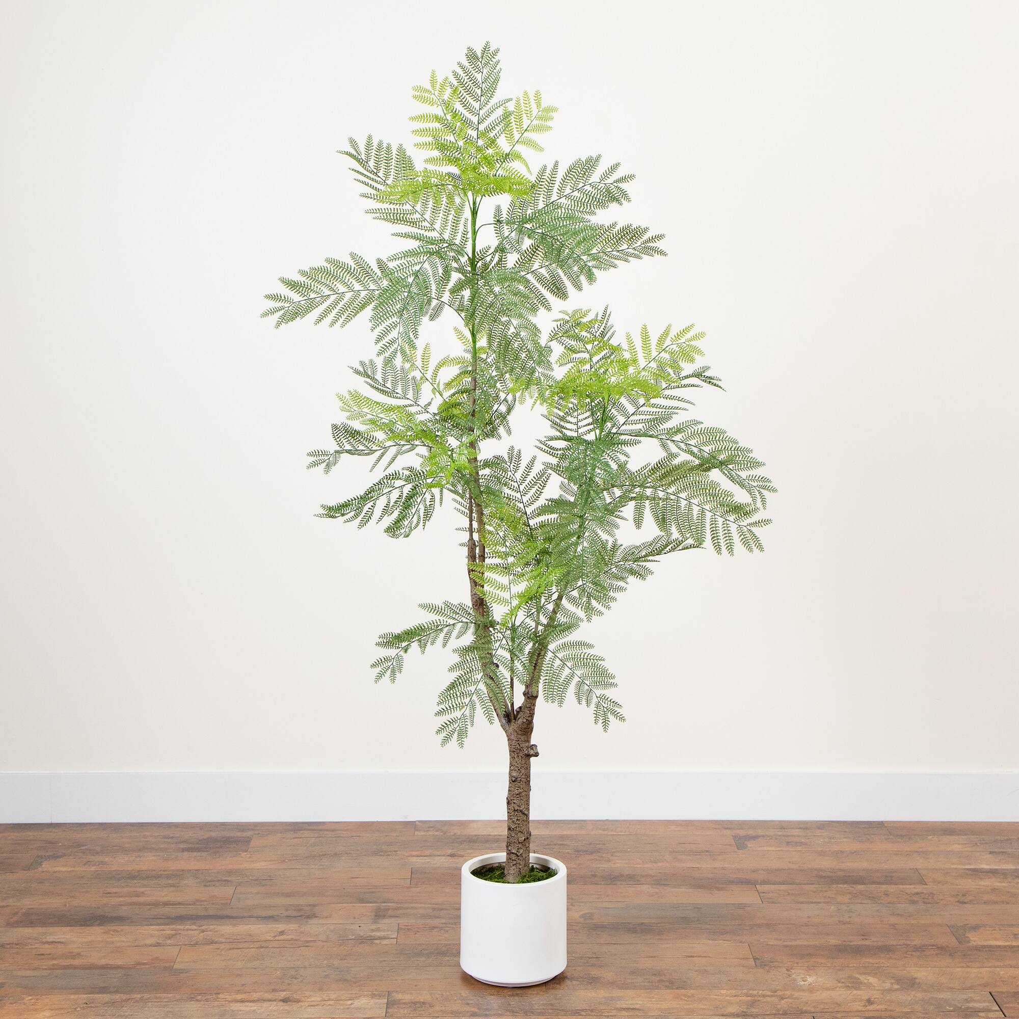 6ft. Artificial Minimalist Jacaranda Tree in White Decorative Planter