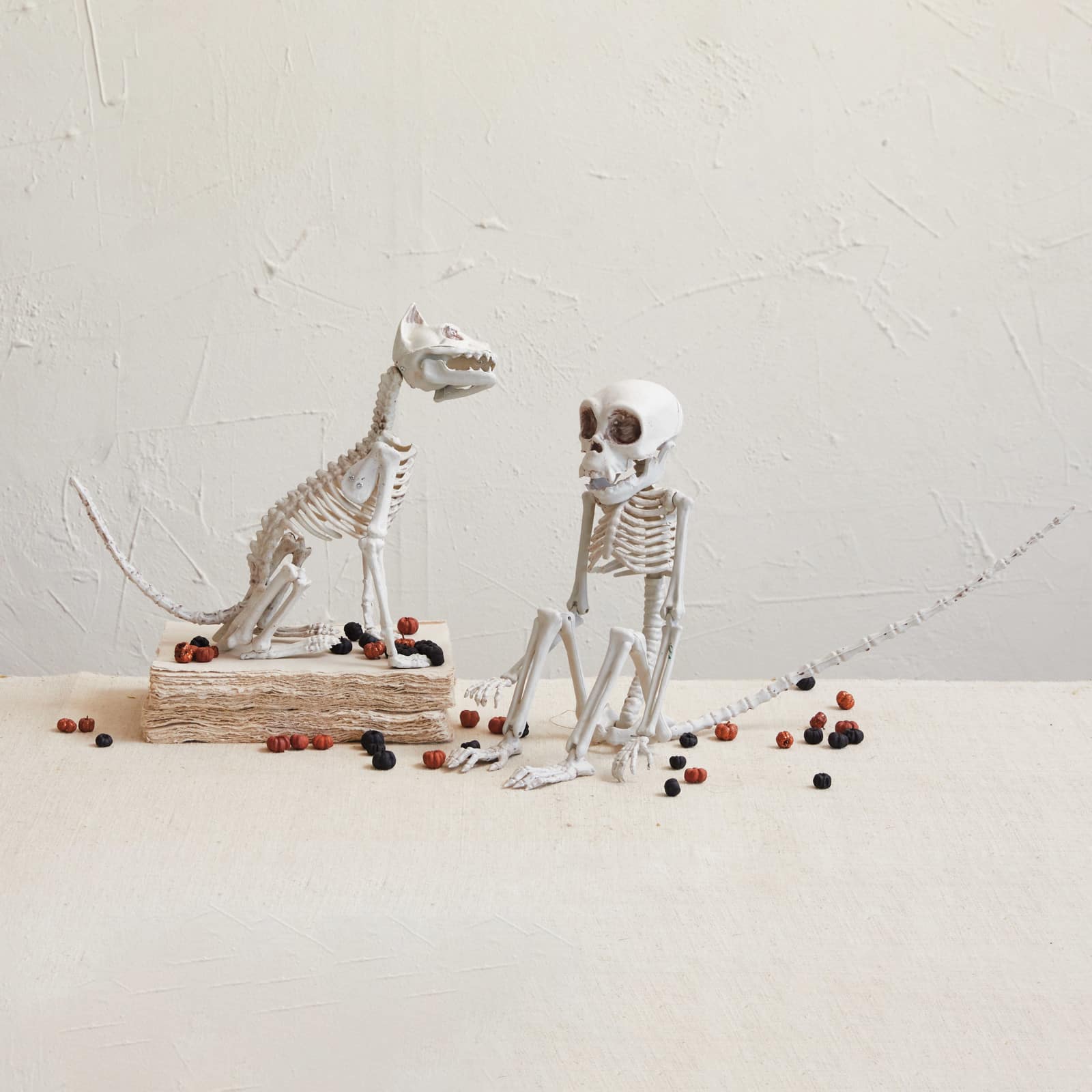 Hello Honey&#xAE; 23.5&#x22; Natural Plastic Monkey Skeleton D&#xE9;cor