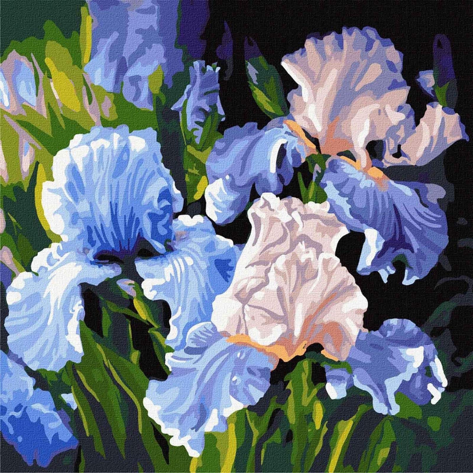 Ideyka Bright Irises Painting by Numbers Kit