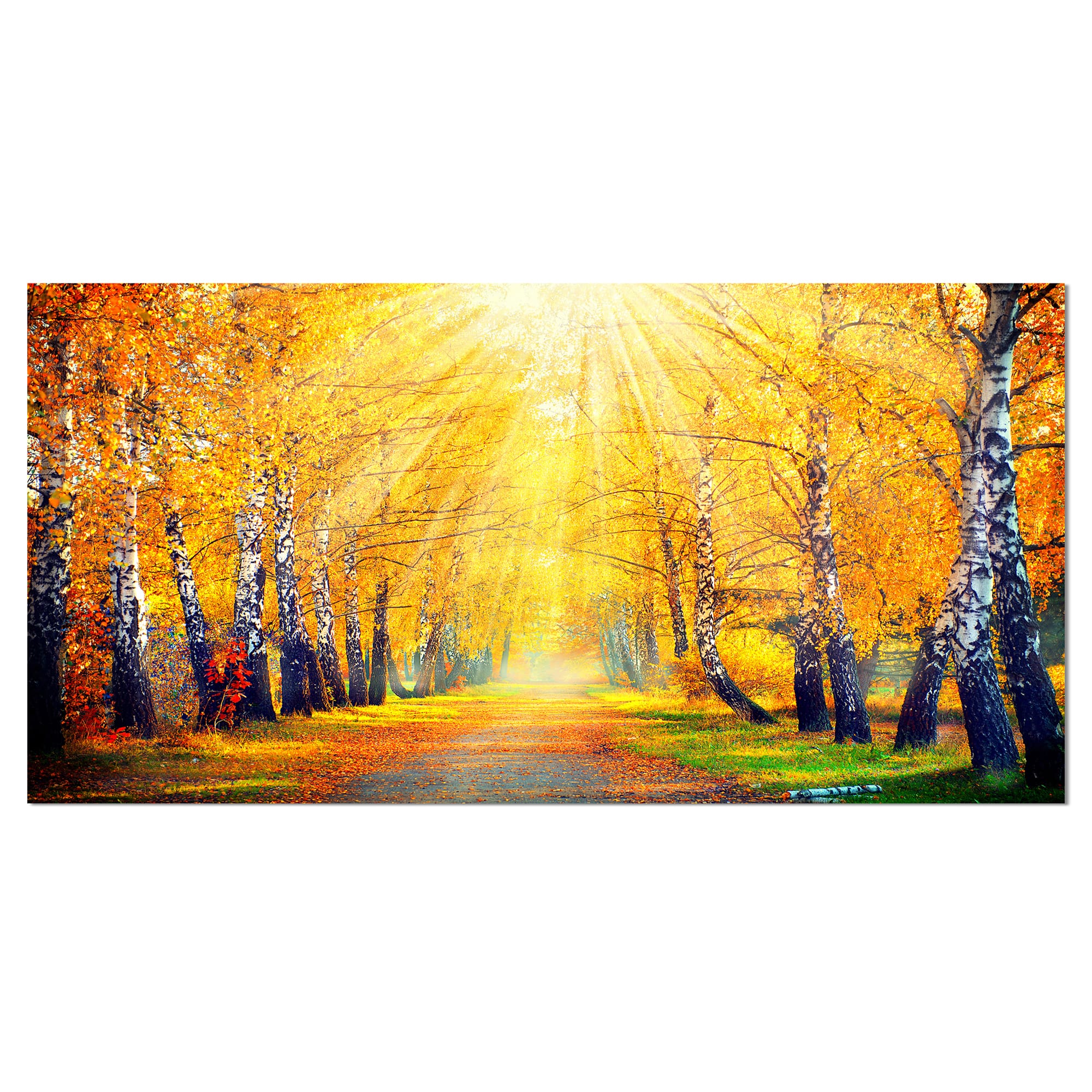 Designart - Yellow Autumn Trees in Sunray - Large Landscape Canvas Art Print