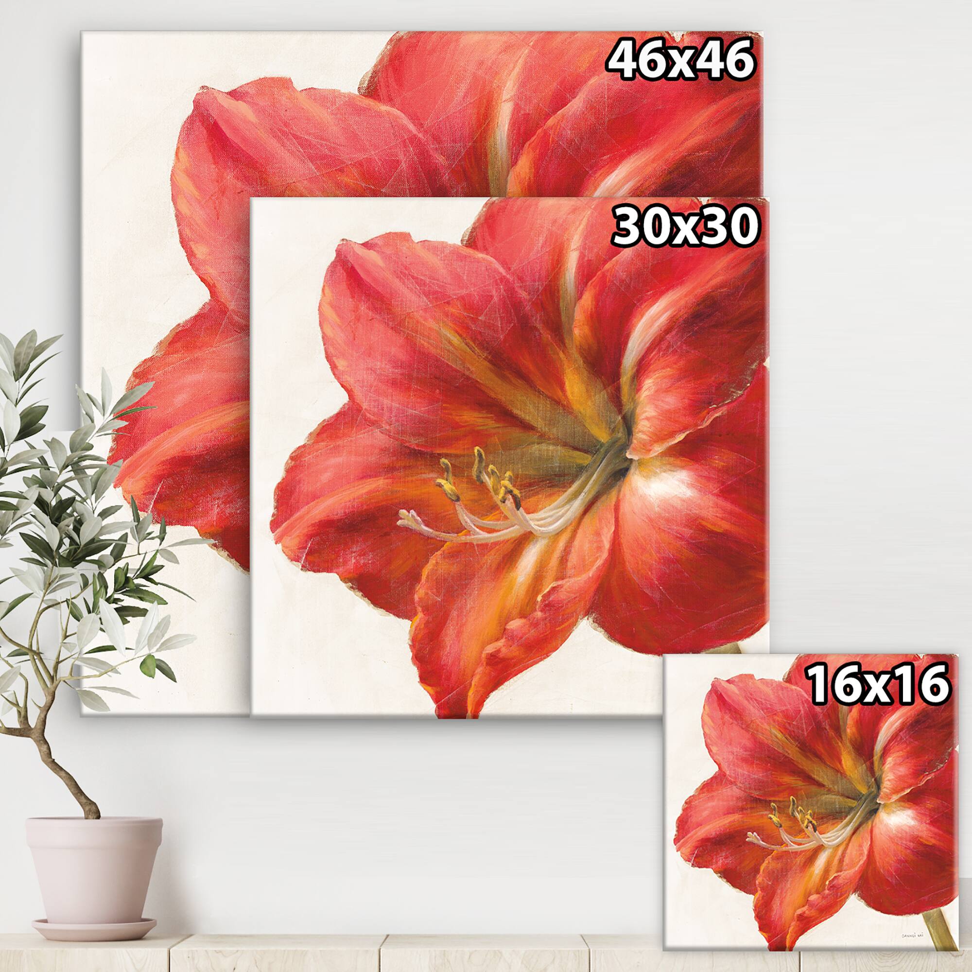 Designart - Vivid Red Amaryllis - Floral &#x26; Botanical Canvas Artwork