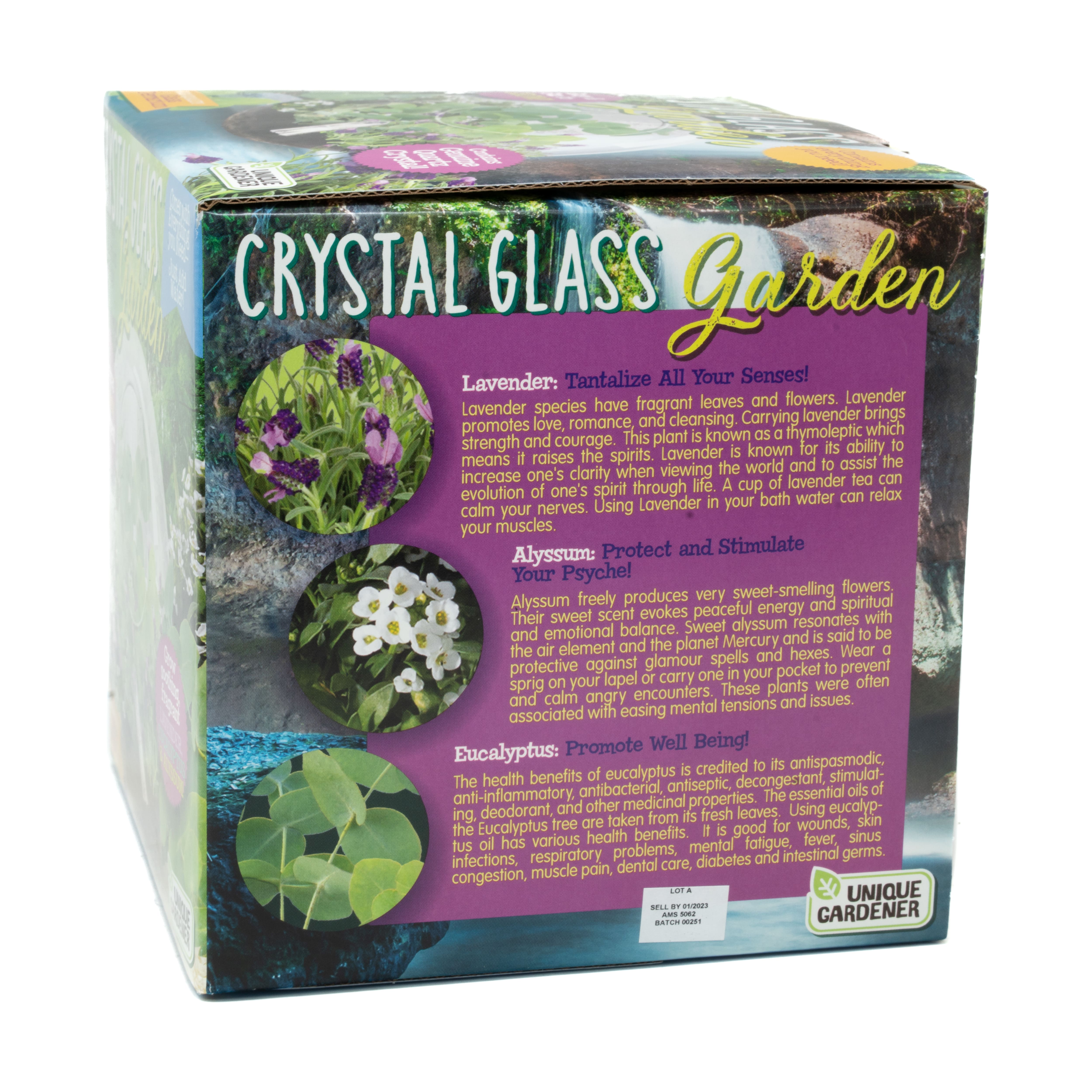 Glass Terrarium - Crystal Glass Garden