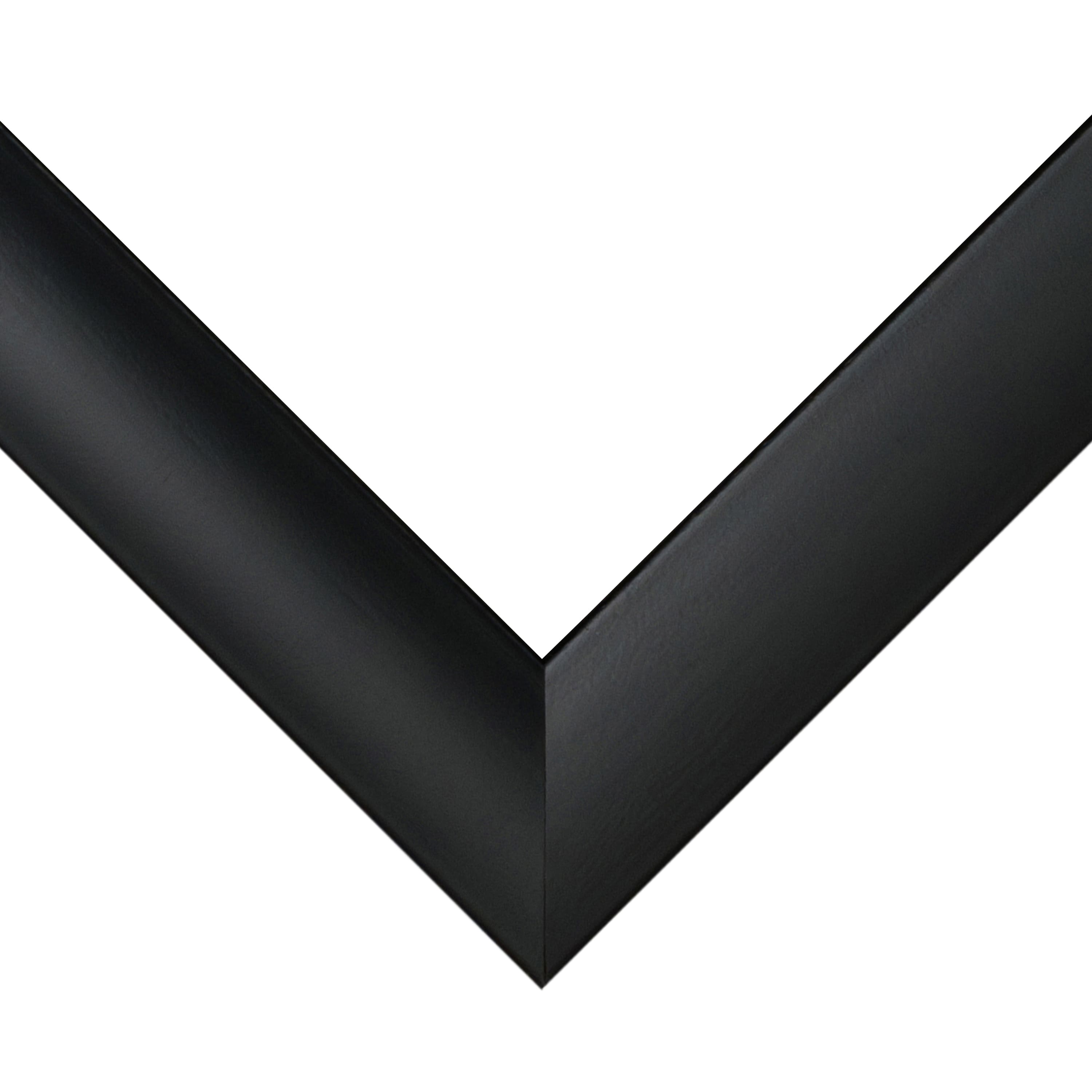 Frame USA Simply Poly Black Single Image Picture Frame