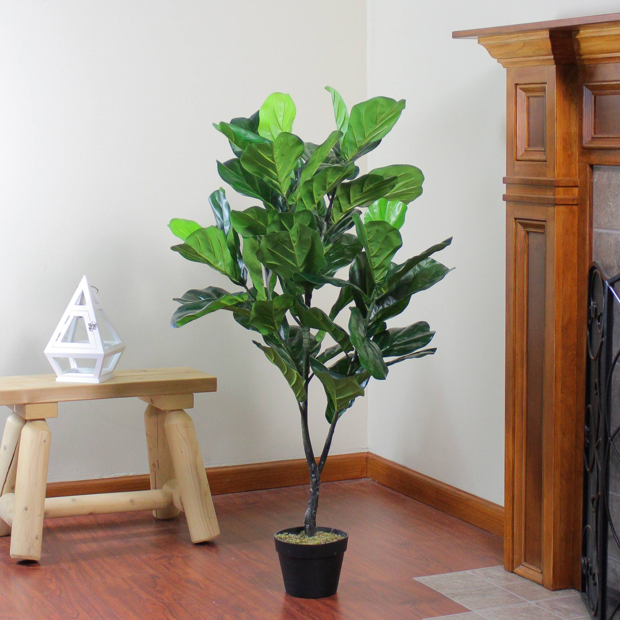 4 ft. Two-Tone Potted Wide Fiddle Leaf Floor Plant