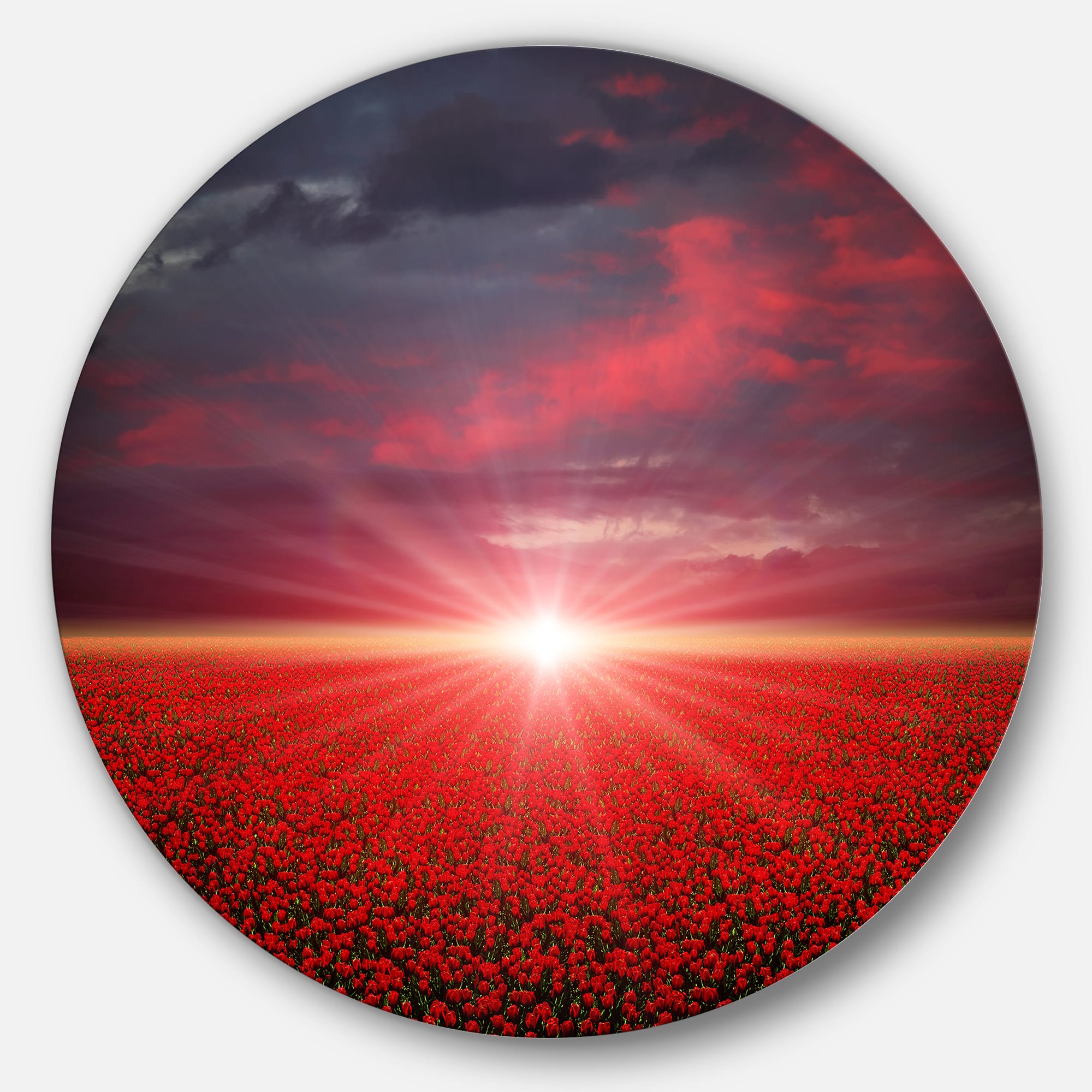 Designart - Red Poppies Field at Sunset&#x27; Landscape Metal Circle Wall Art