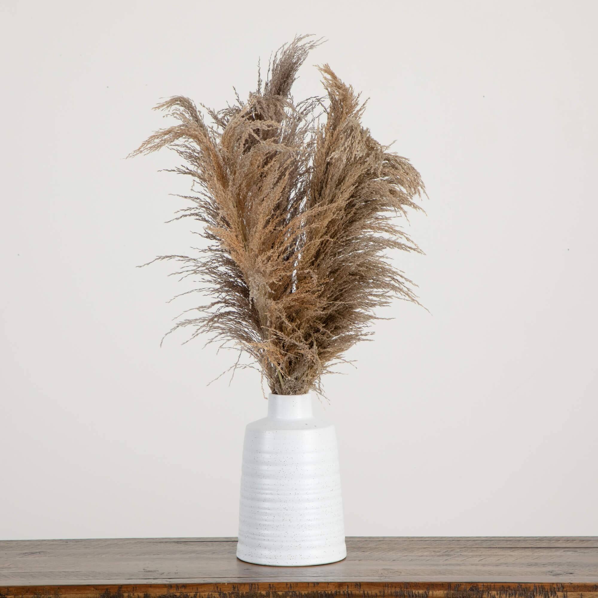 2.5ft. Dried Natural Pampas Arrangement in Ceramic Vase