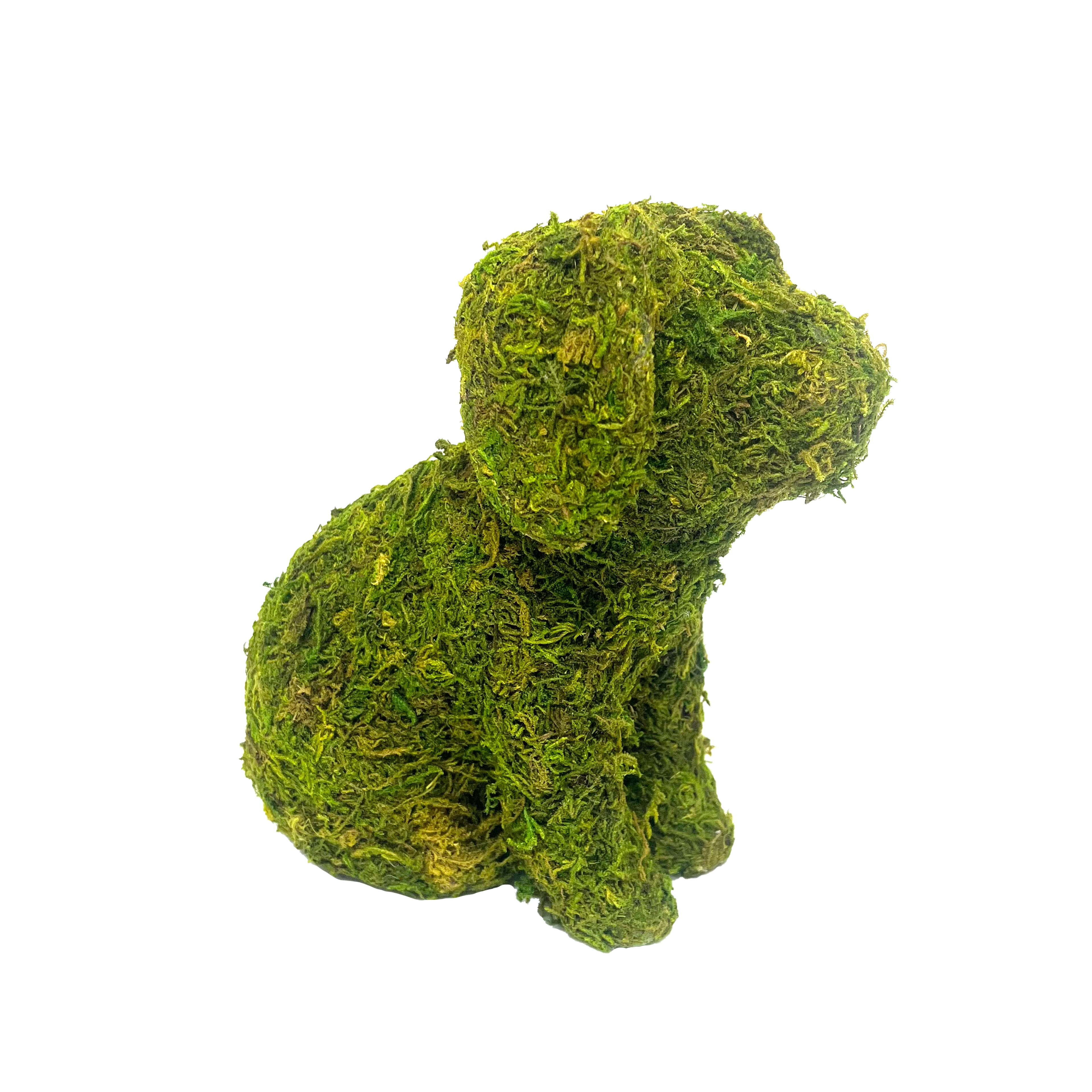 6.5" Green Decorative Moss Dog Accent by Ashland®