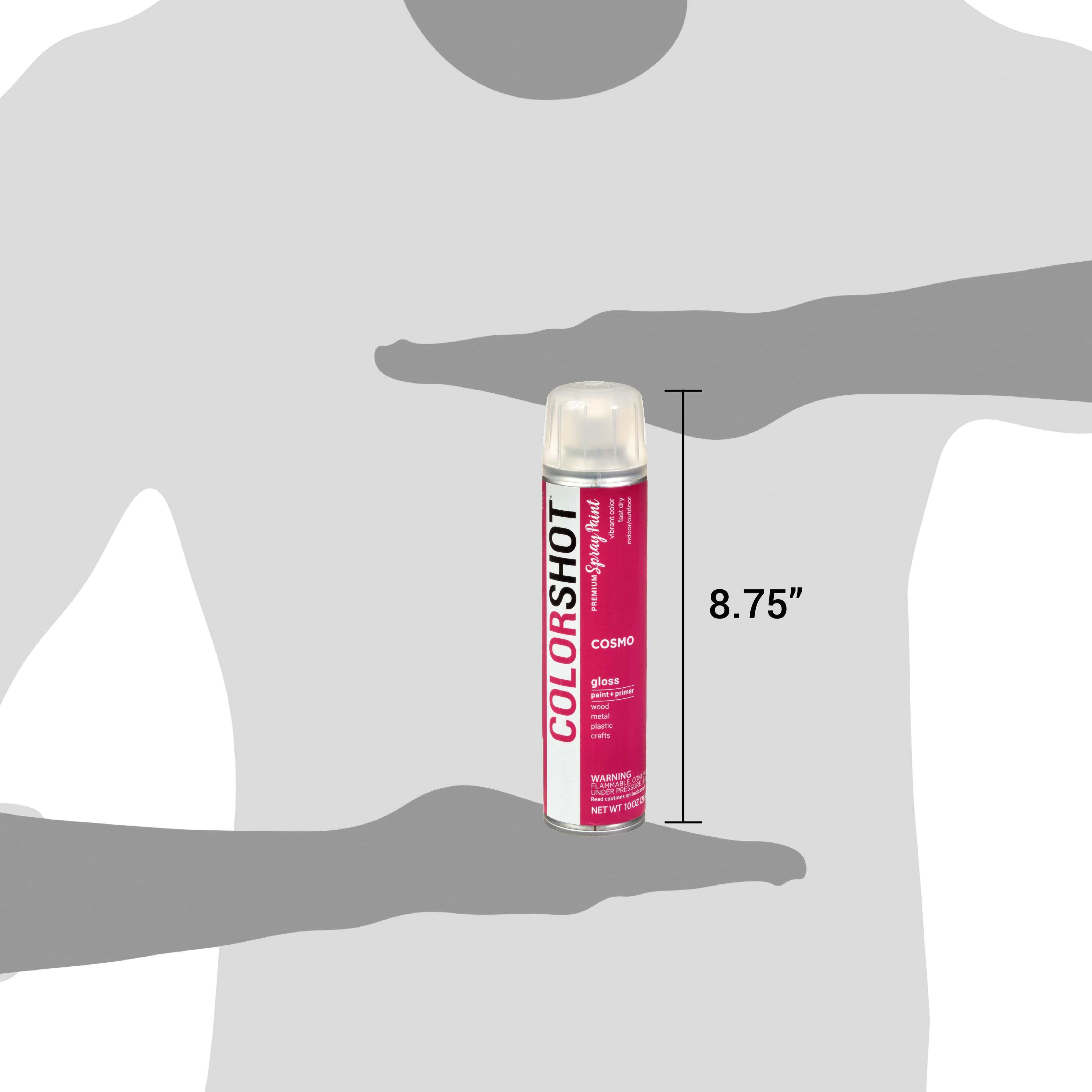 COLORSHOT&#xAE; Premium Gloss Spray Paint