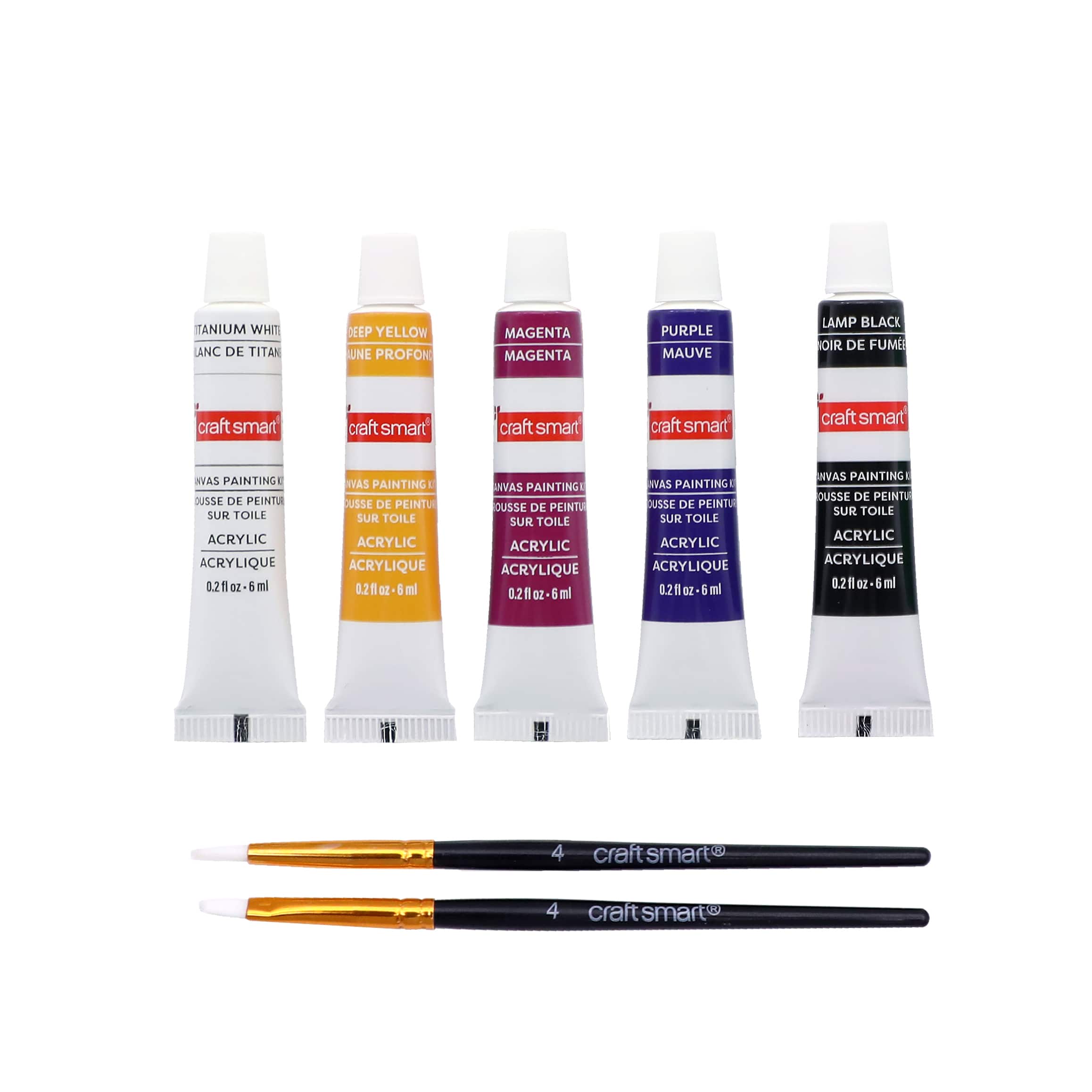 5" x 5" Witch Dog in Web Canvas Painting Kit by Craft Smart®