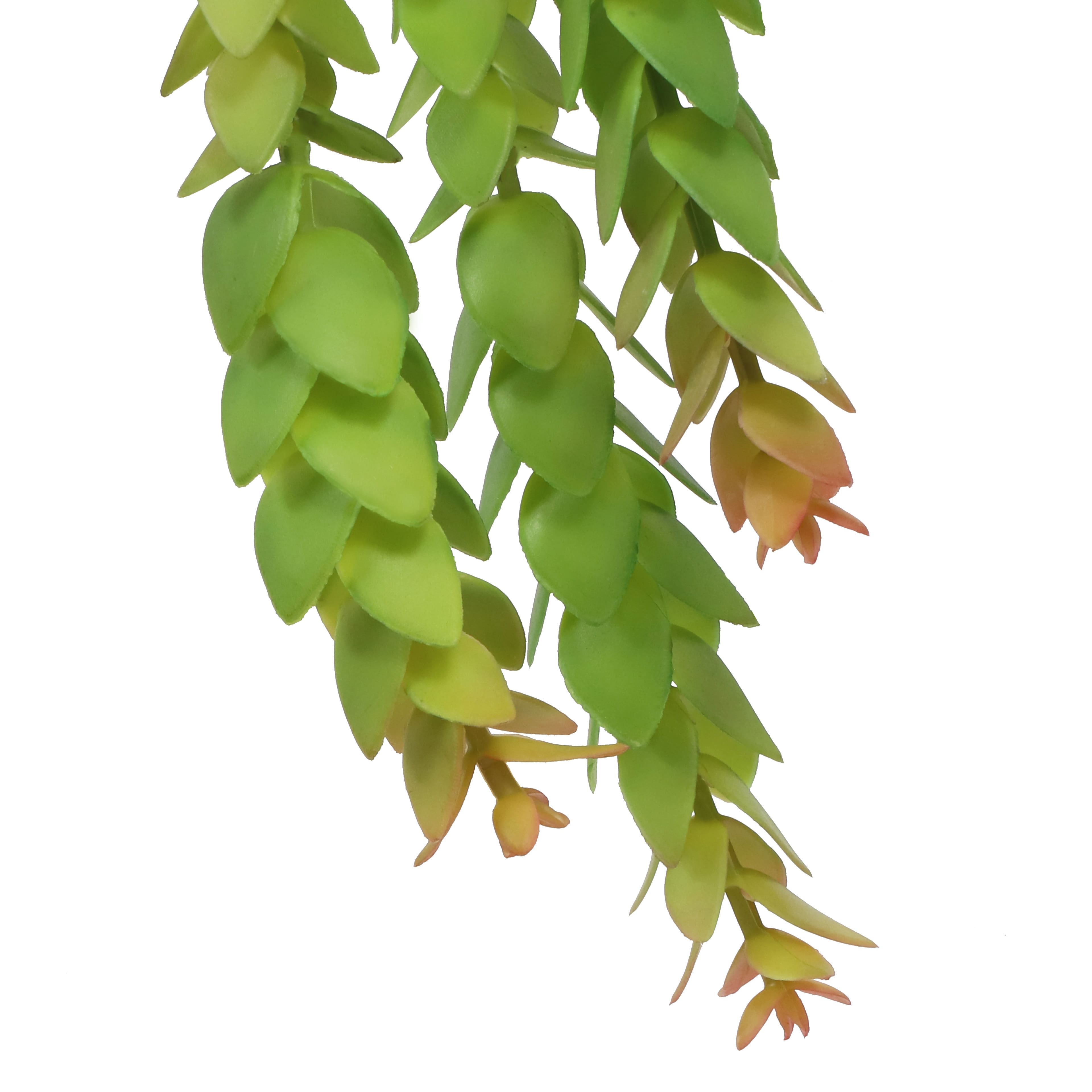 9.5" Green Hanging Jade Plant Pick by Ashland®