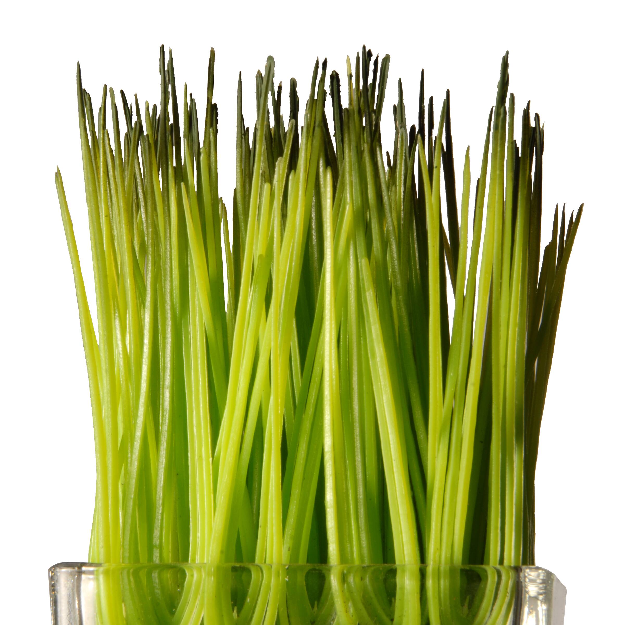 3-Piece Square Sprout-Filled Glass Assortment