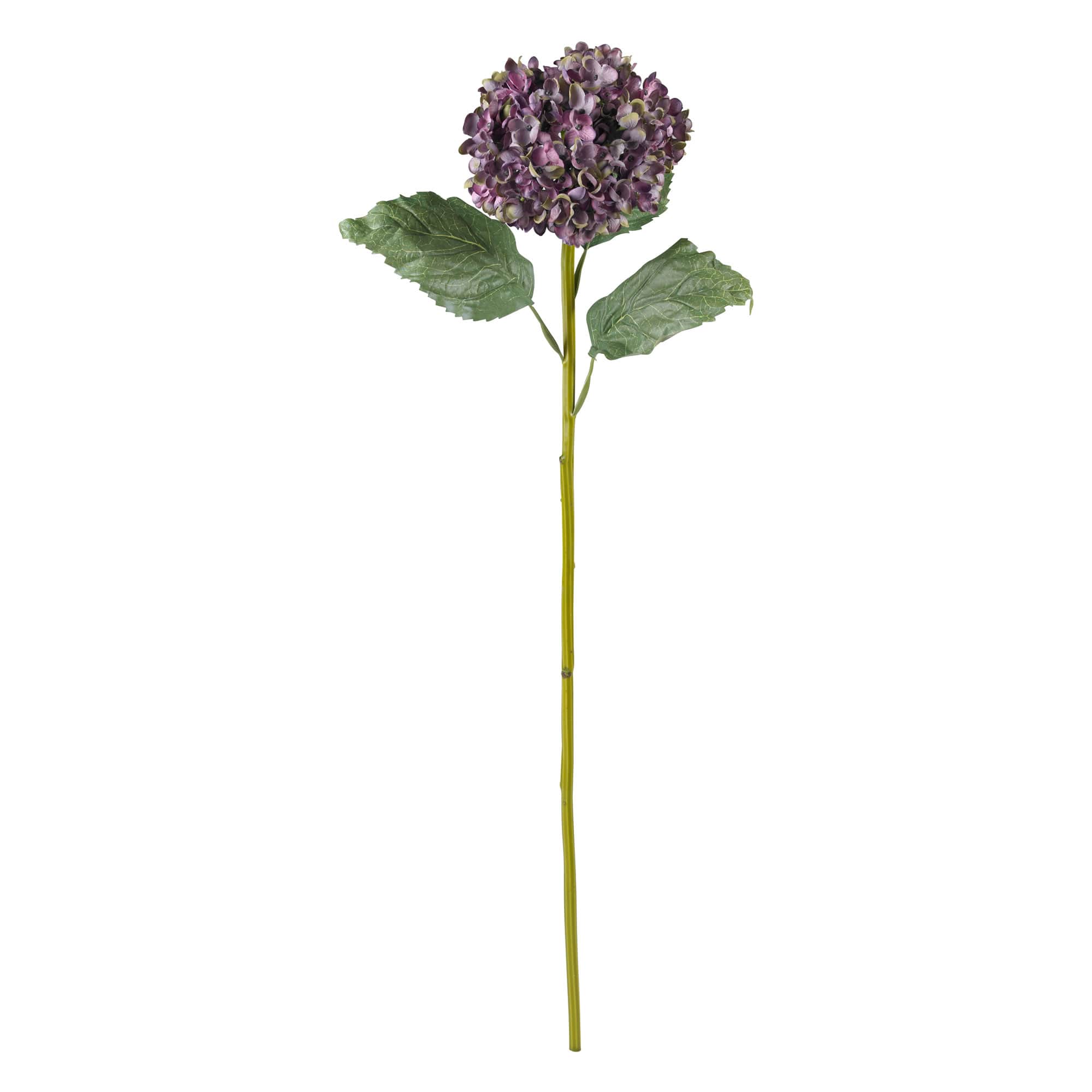 Hydrangea Stem, 4ct.
