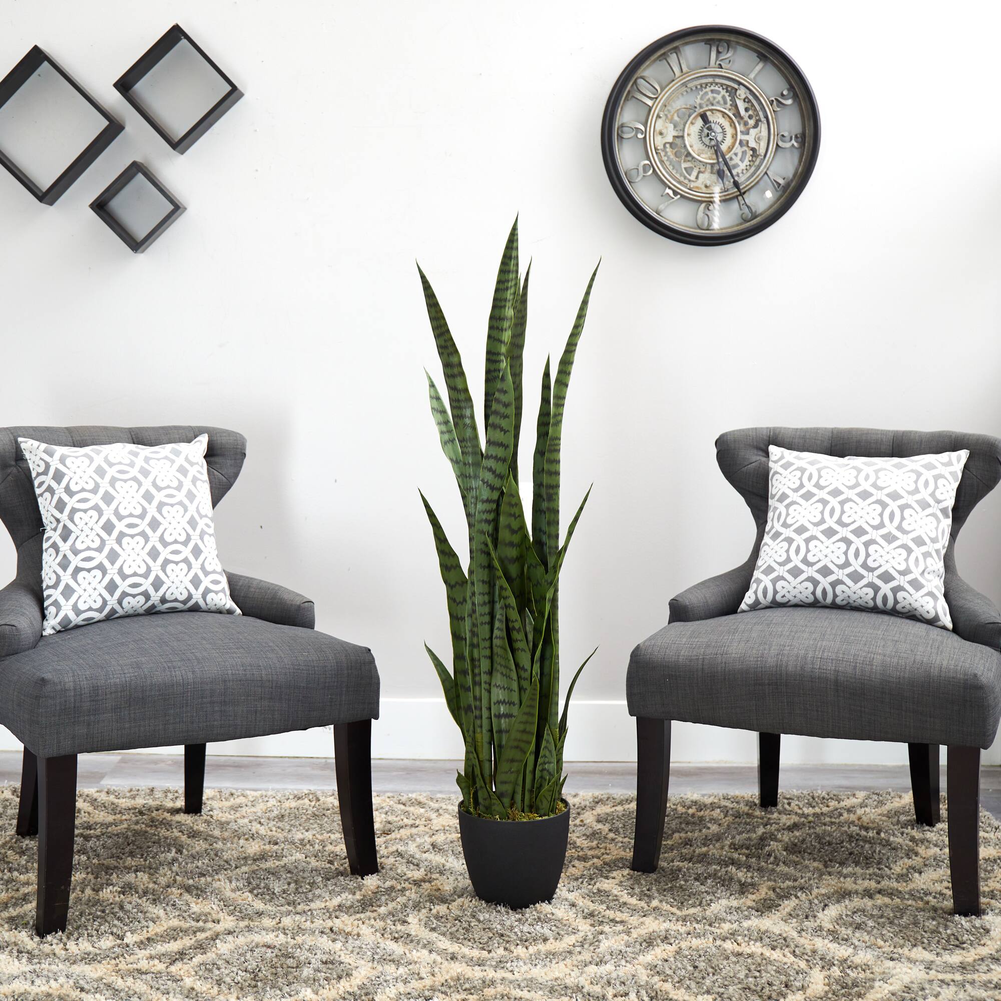 3.5ft. Potted Snake Plant