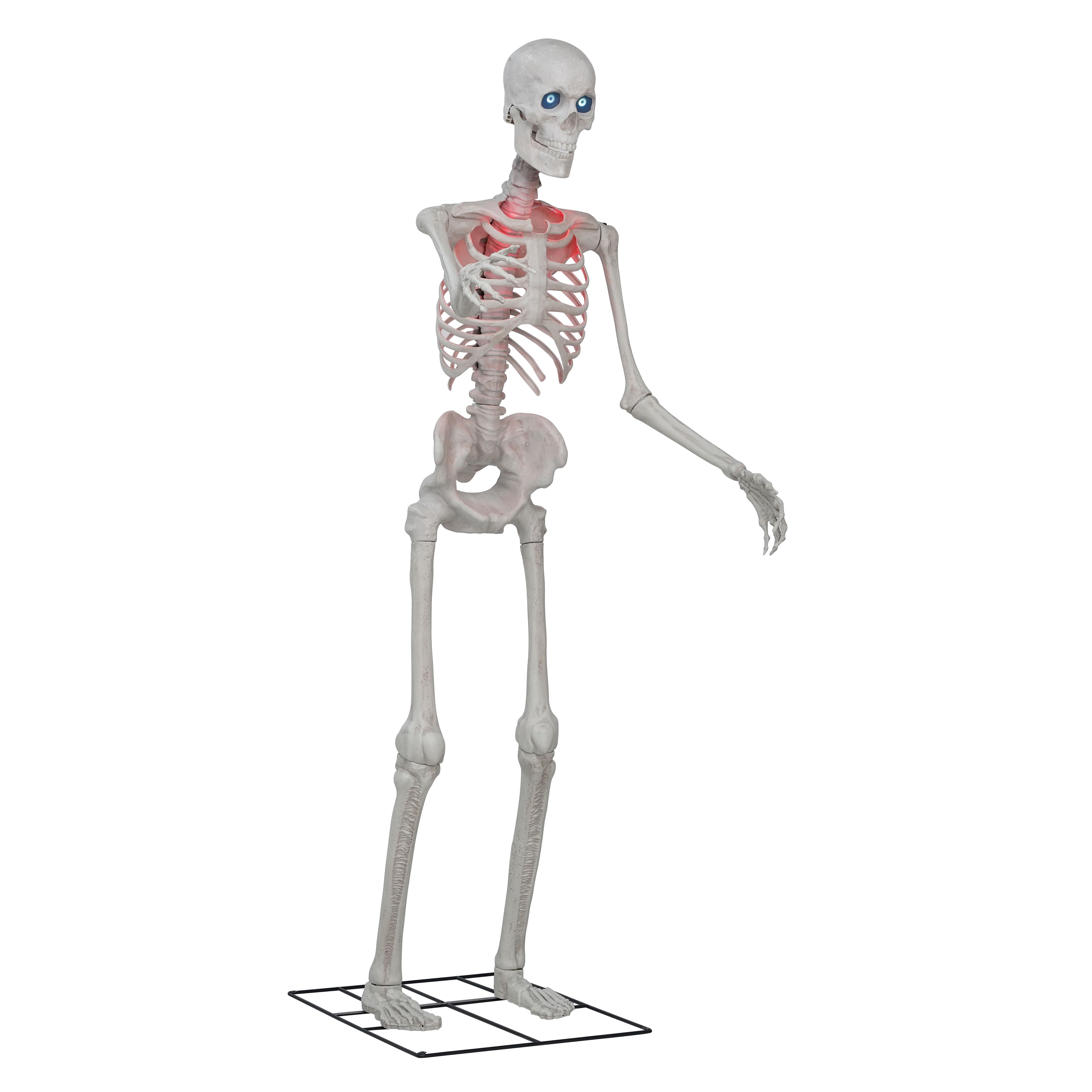 8ft. Skeleton by Ashland&#xAE;