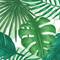 Siser® EasyPatterns® Plus Tropical Leaves Heat Transfer Vinyl