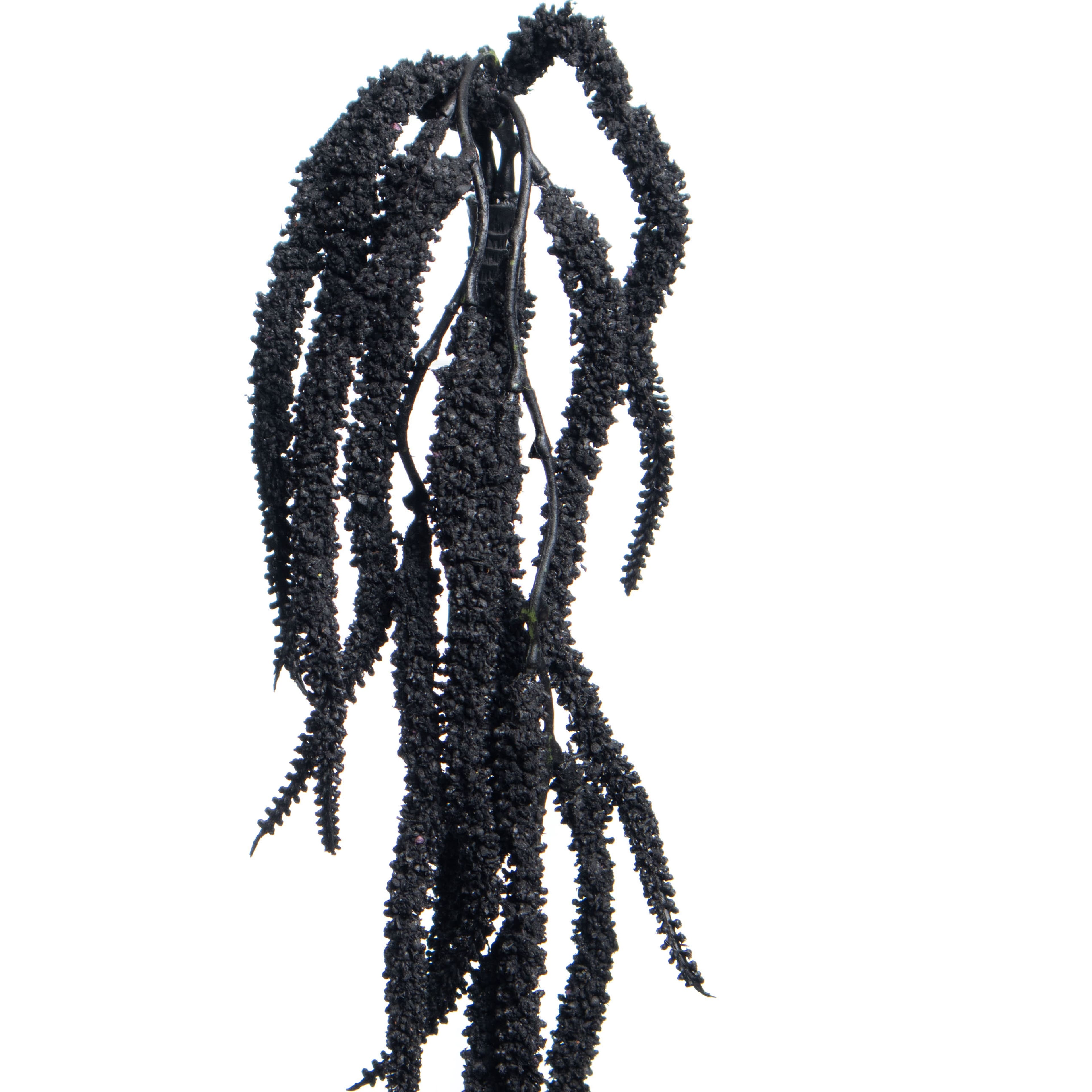 Halloween 17&#x22; Black Amaranth Pick by Ashland&#xAE;