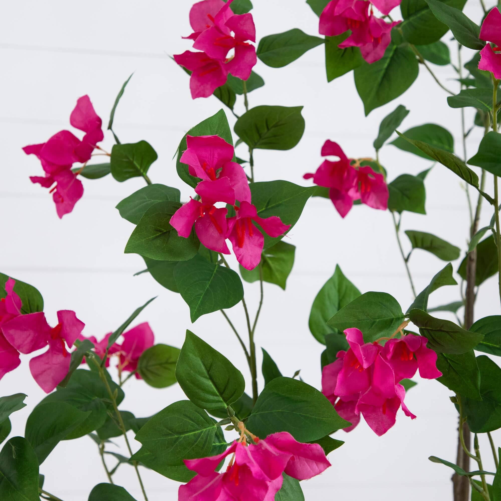 7ft. Potted Pink Minimalist Bougainvillea Tree