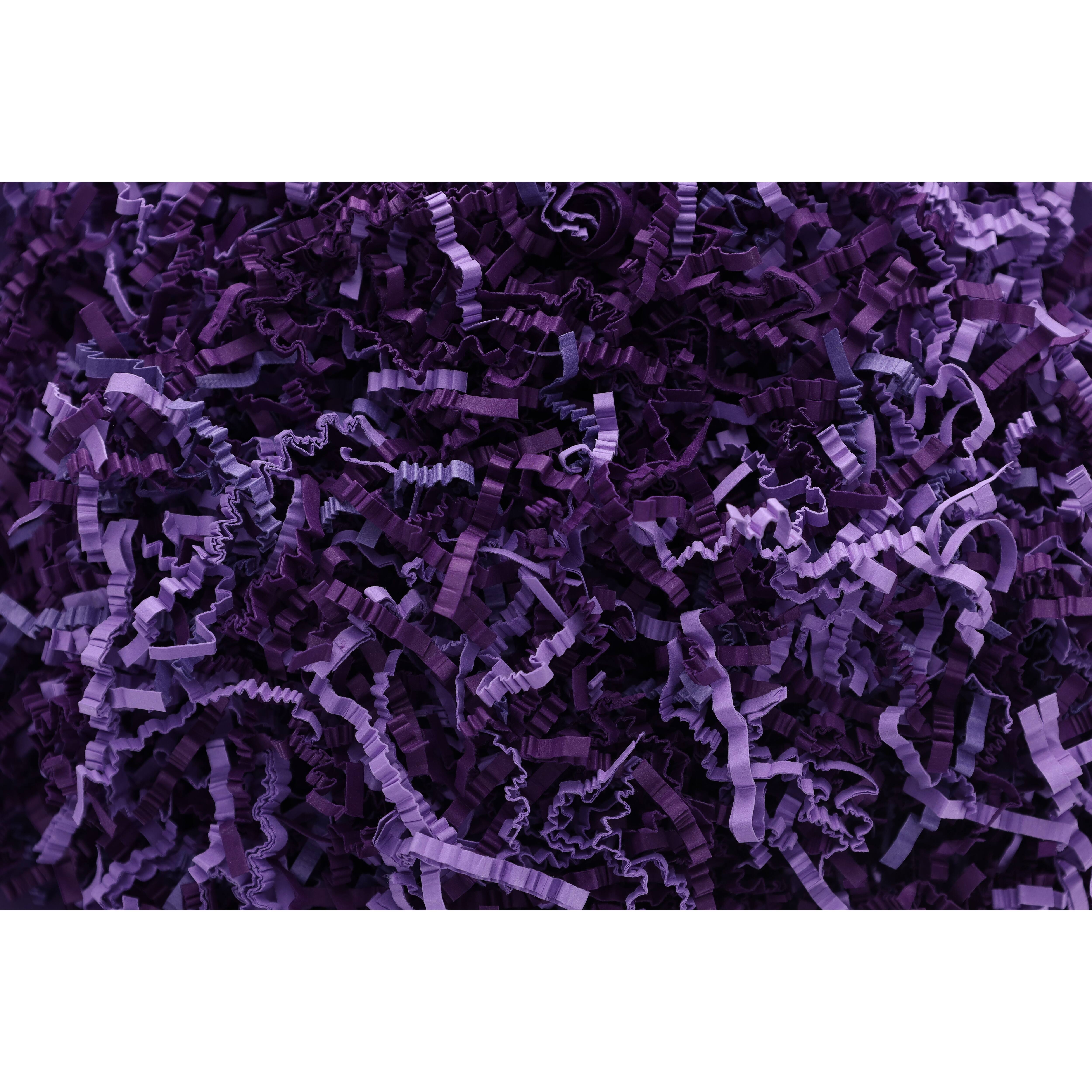 Essentials by Leisure Arts Crinkle Shred Box, 10lb.