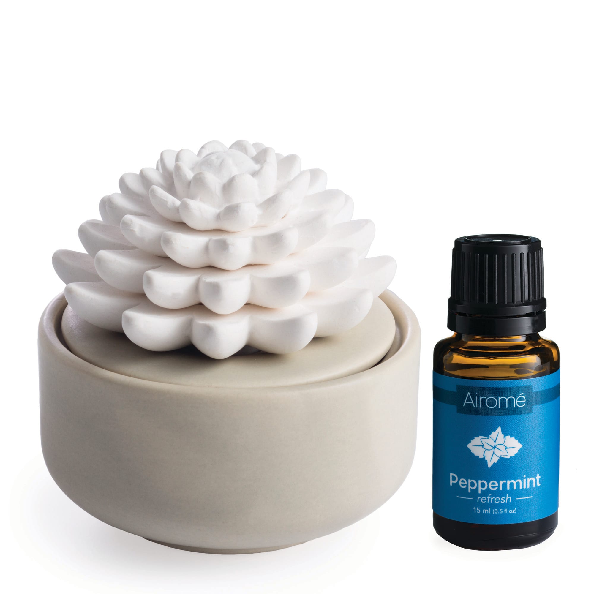 Airom&#xE9; Succulent Porcelain Passive Diffuser