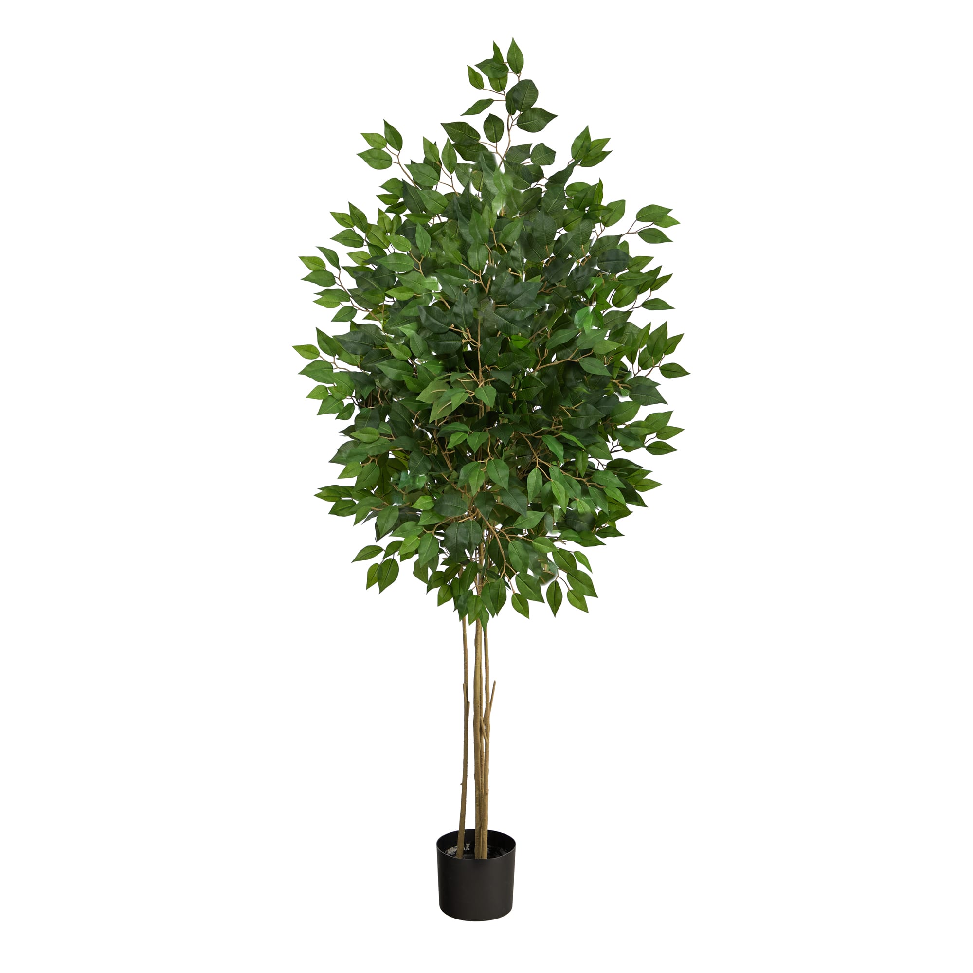 5.5ft. Potted UV Resistant Ficus Tree