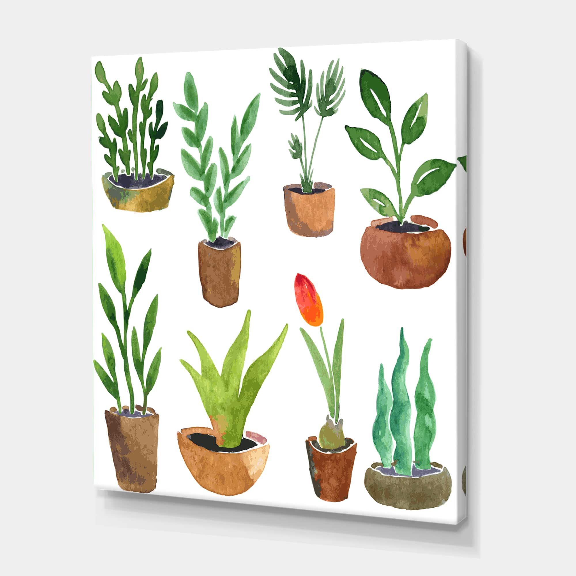 Designart - Eight Potted House Plants - Traditional Canvas Wall Art Print