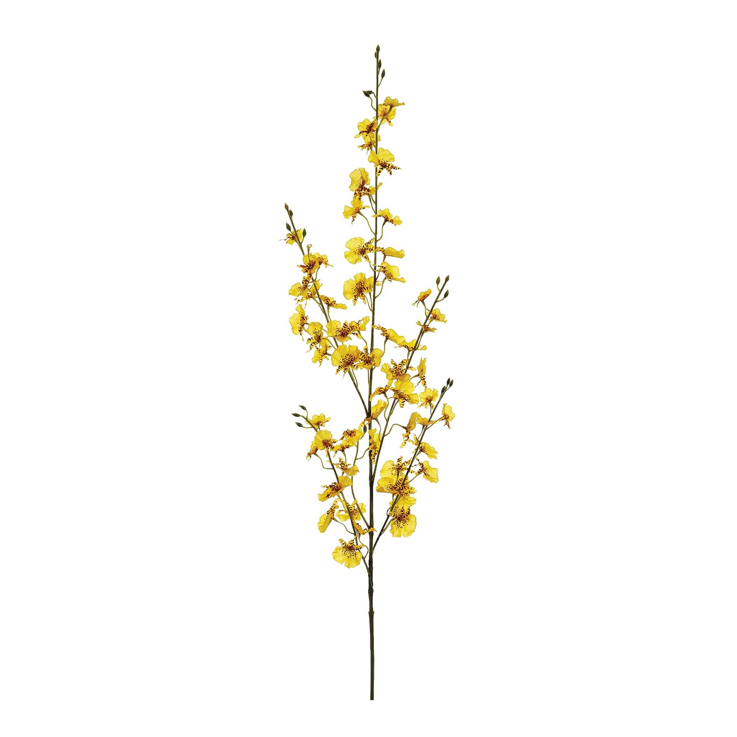 Oncidium Orchid Spray | Michaels