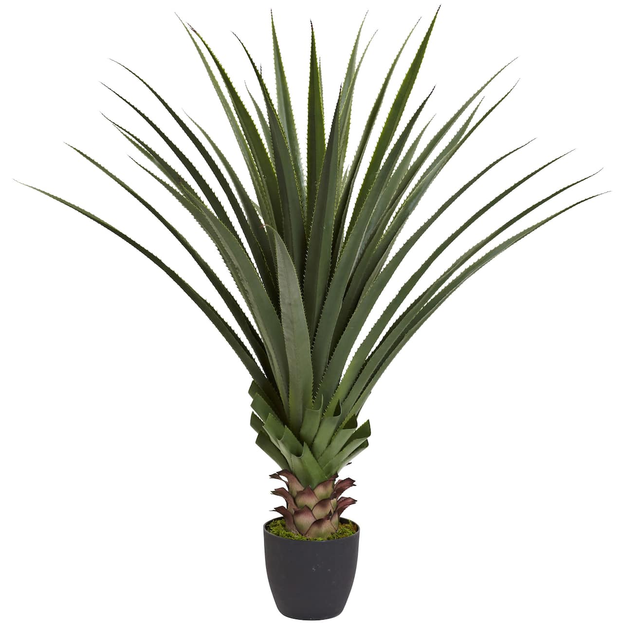 4ft. Potted Spiked Agave Plant | Michaels