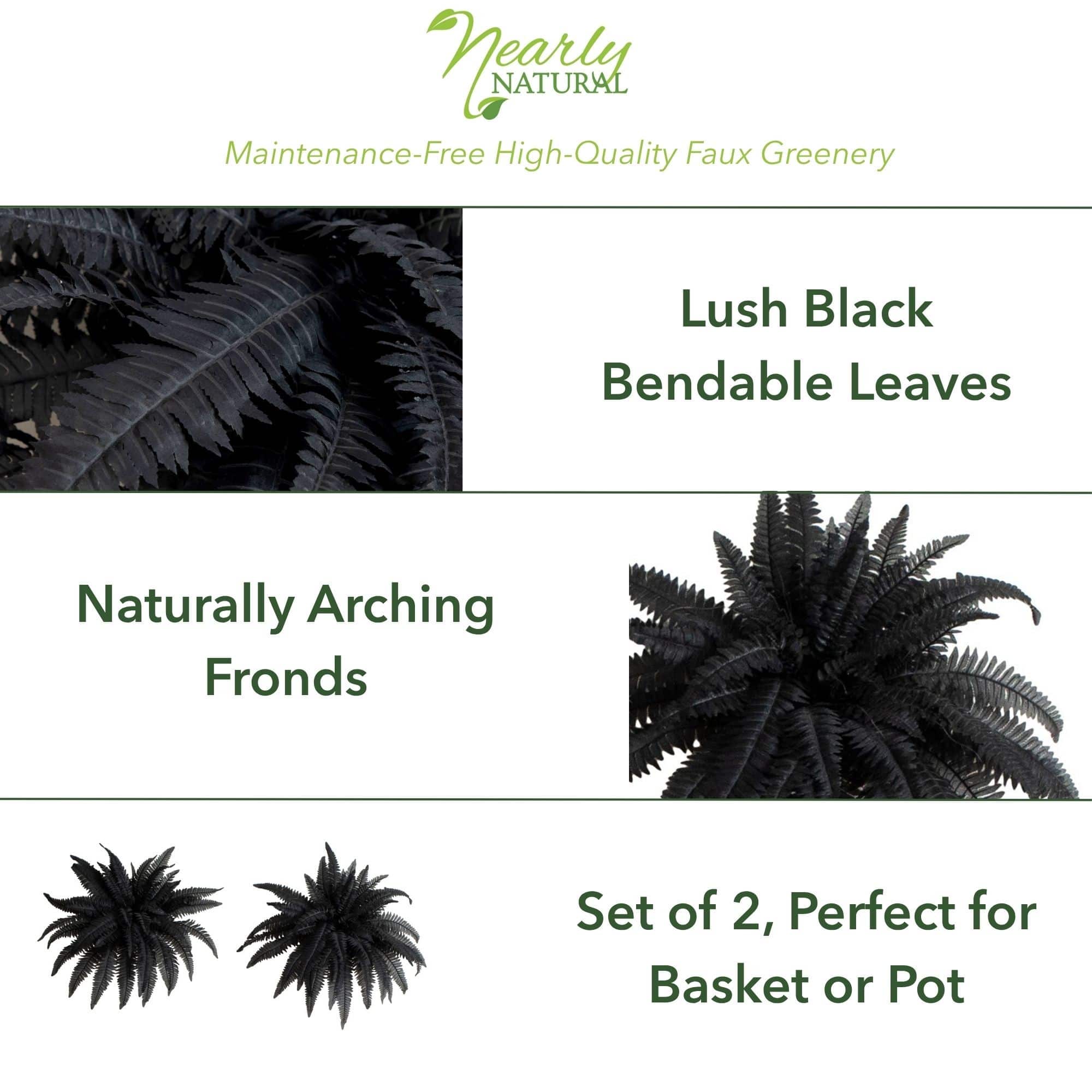 40in. Artificial Halloween Black Boston Fern - Set of 2