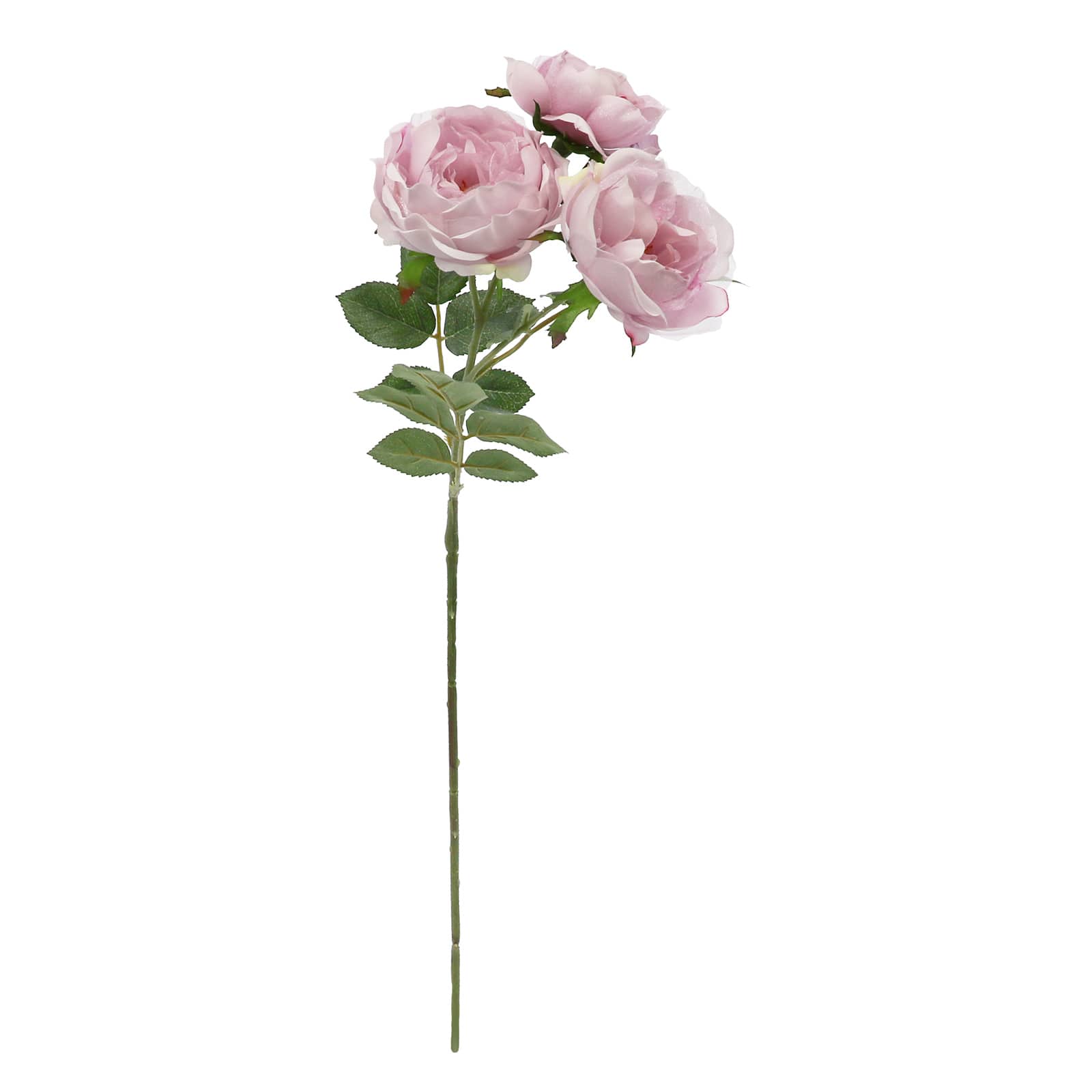 Tige de rose mauve clair de 63,5 cm d&#x27;Ashland