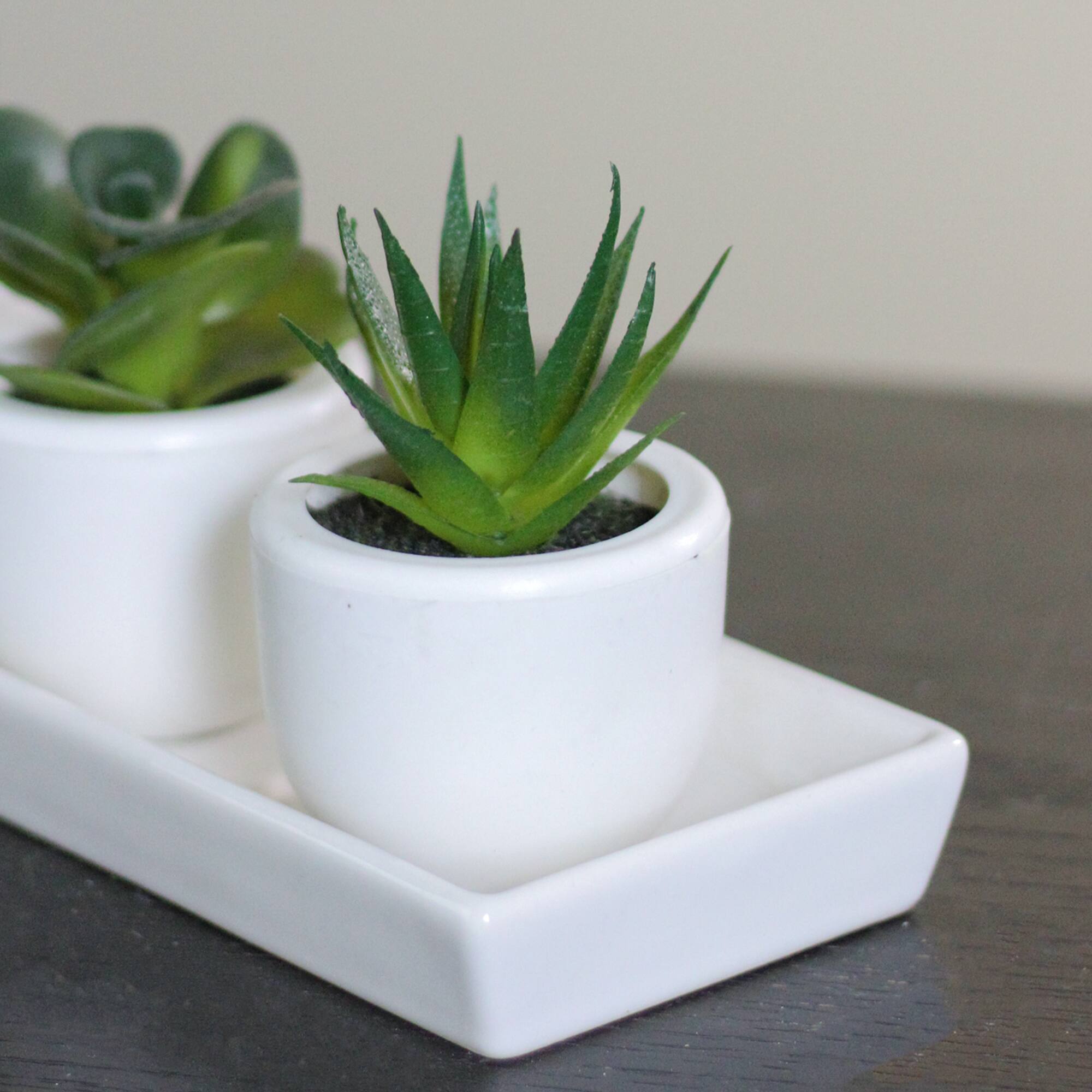 3.5" Artificial Succulent with White Pot