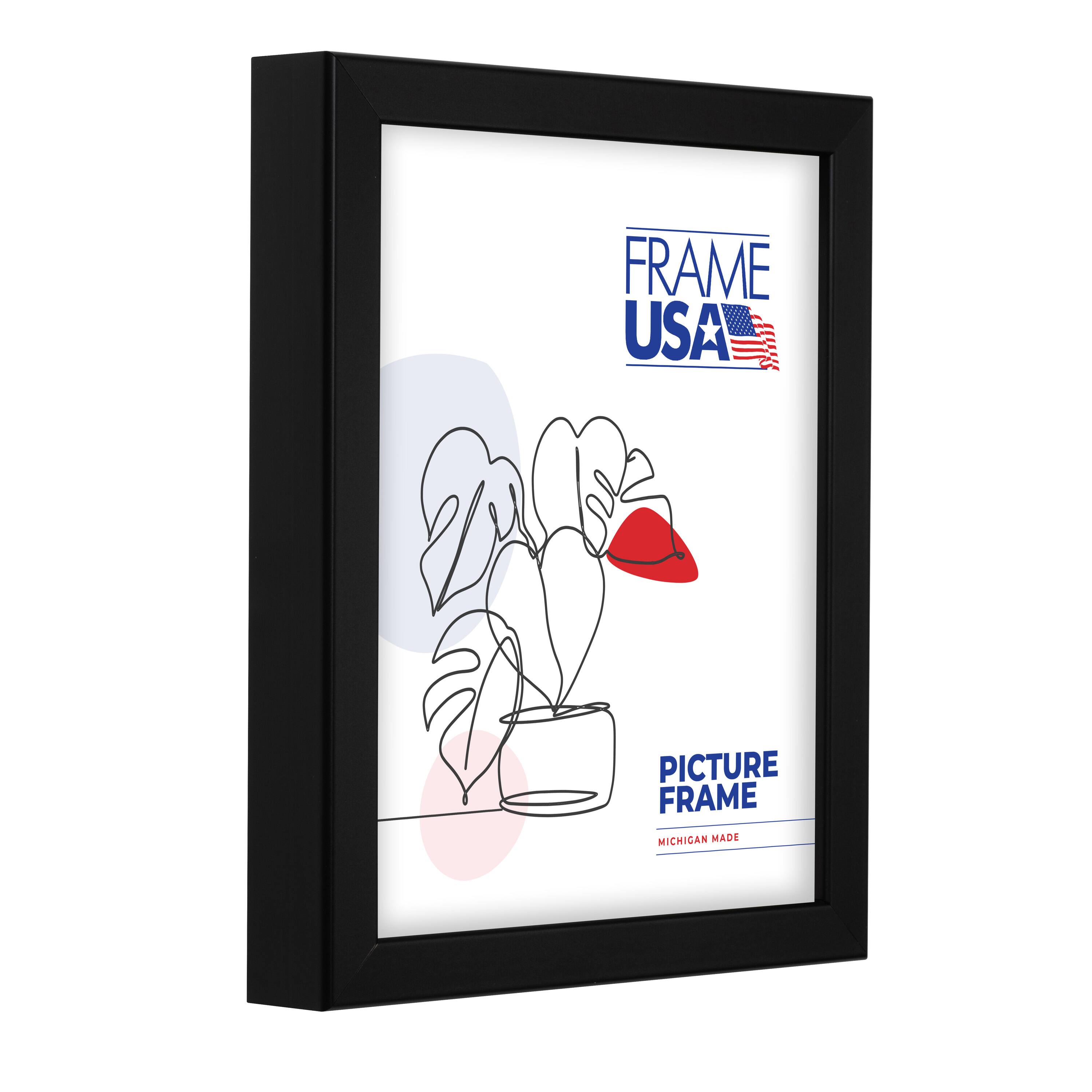 Frame USA TRUE Depth Black Single Image Picture Frame